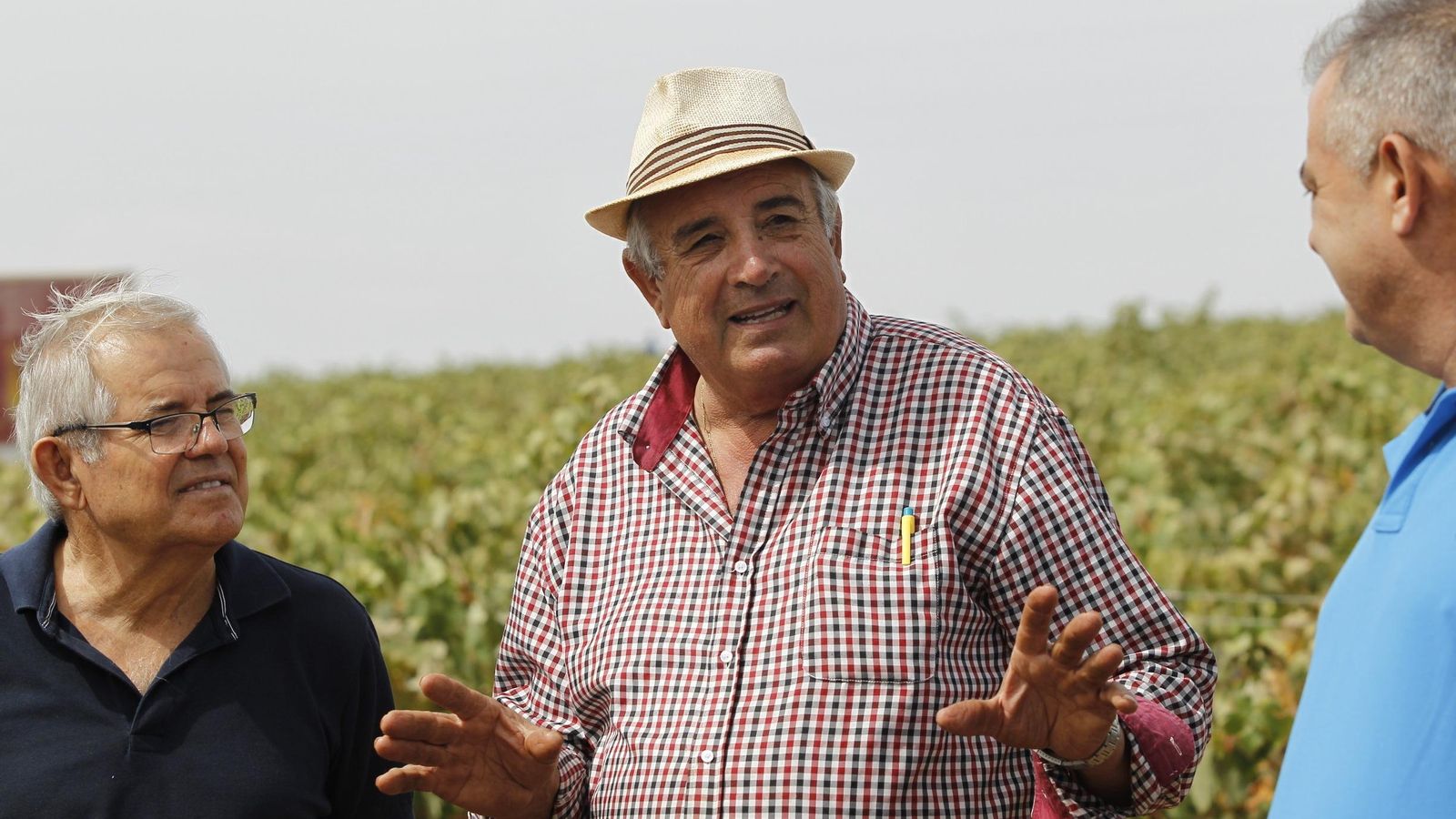 Una vendimia como las de antes