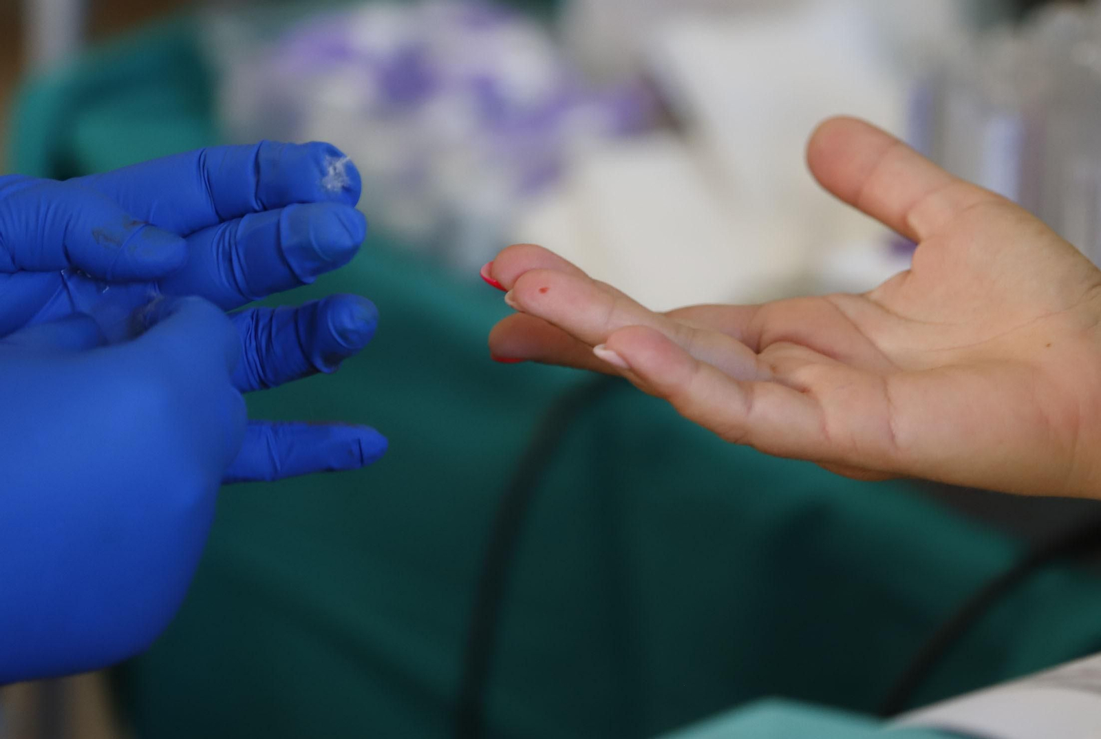 Macrocolecta de sangre en la Casa Colón