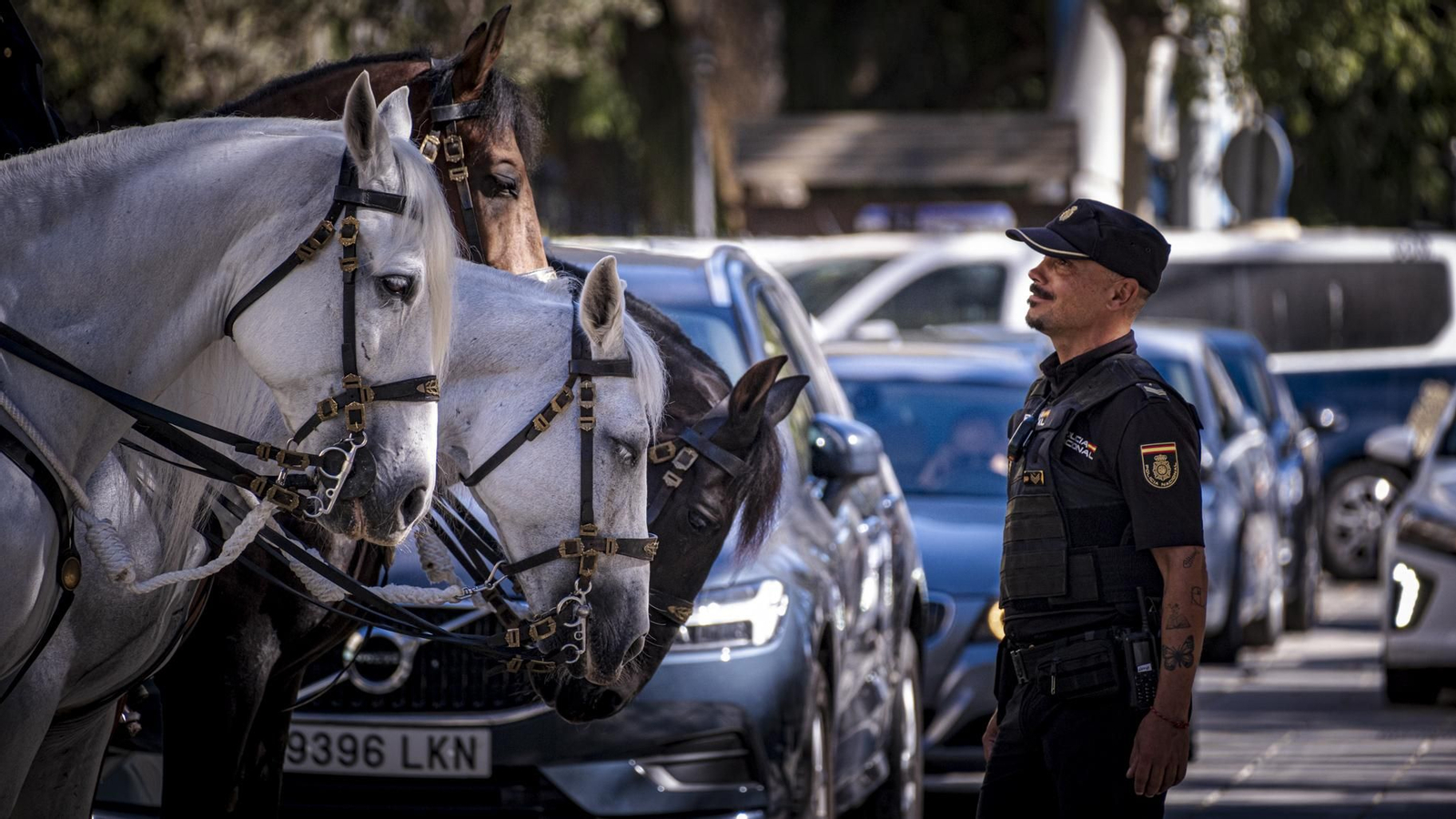 Las imágenes de la celebración del acto del Día de la Policía Nacional en Cádiz.