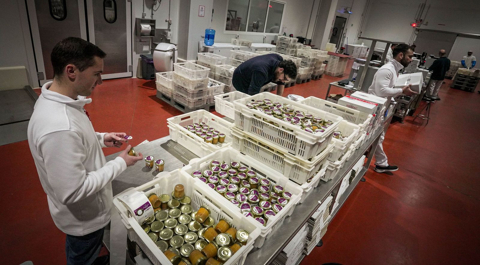 Imágenes de una tradición viva: Herpac por dentro