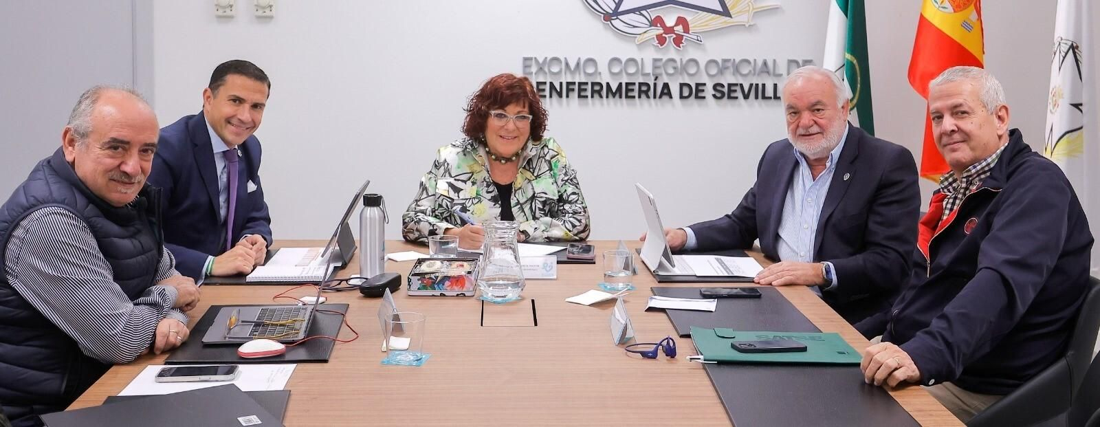 El Consejo de Enfermería y SATSE unidos por la “atención sanitaria de calidad”