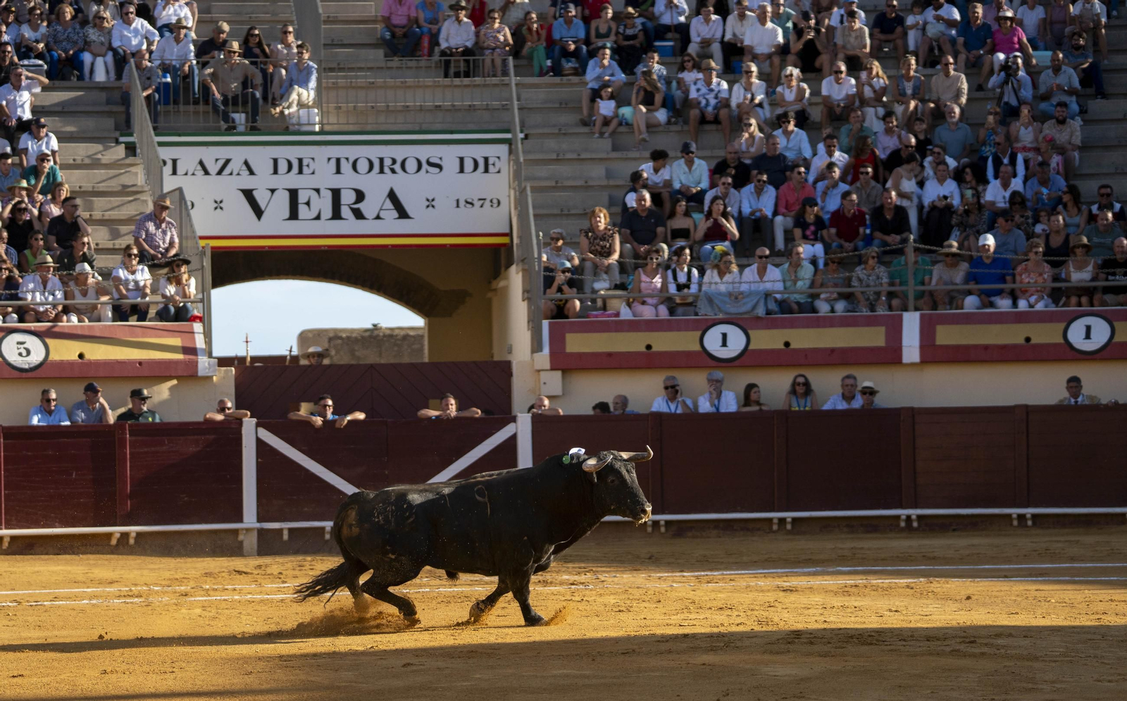 Las imágenes de los toros en Vera