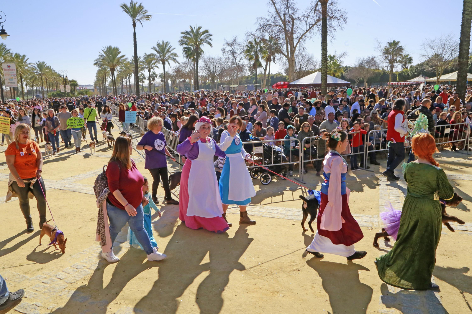 Imágenes de San Antón 2020 en Jerez
