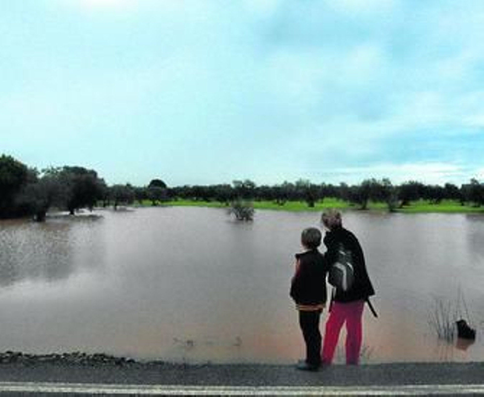 Una carretera de Mairena,anegada por las lluvias.