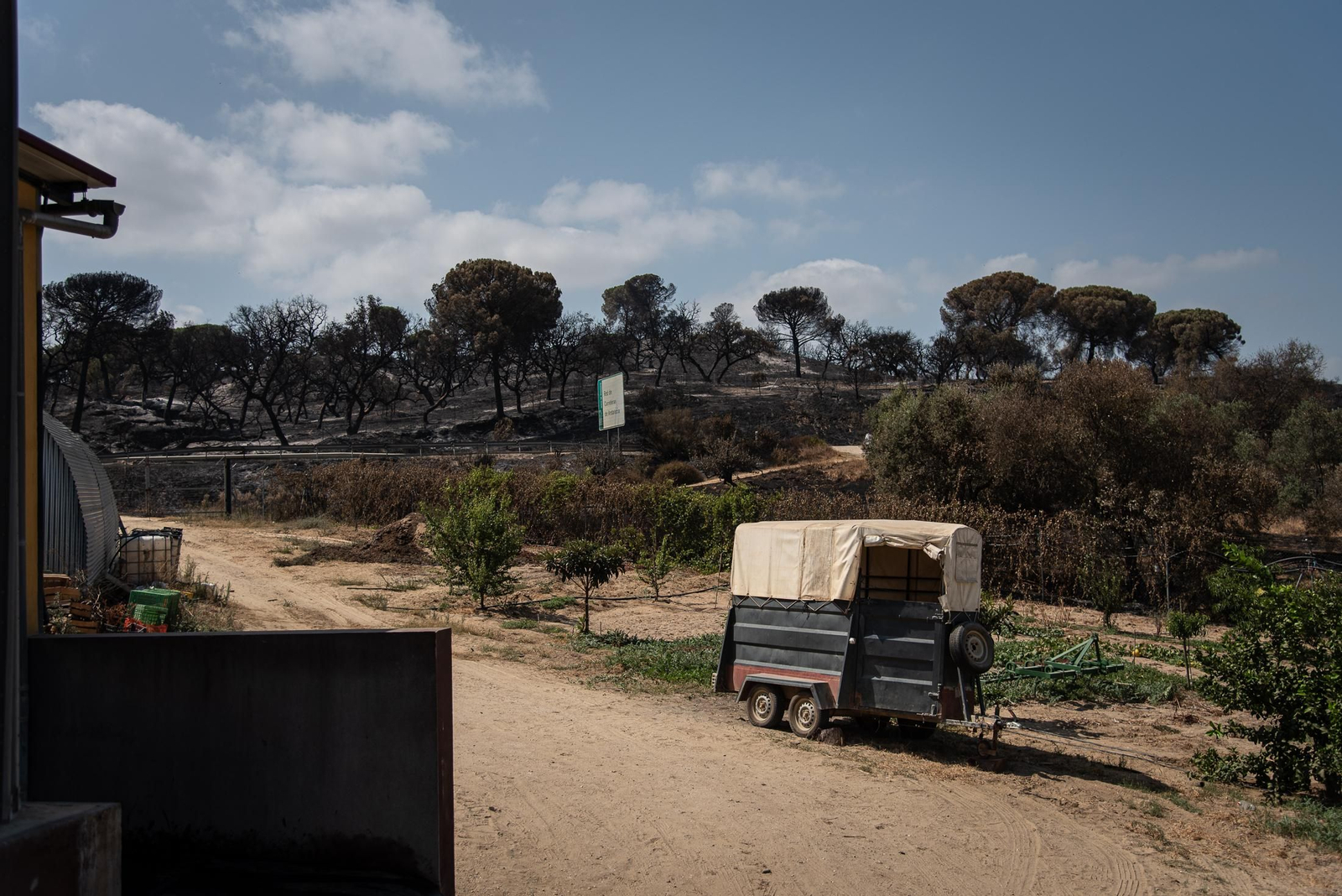 Imágenes de los destrozos causados por el incendio de Lucena del Puerto