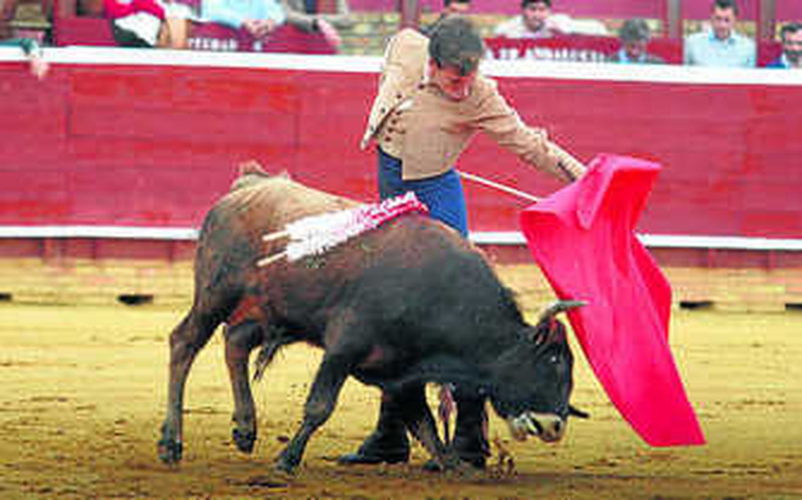 1. Roca Rey, Serna y Correa a hombros antes de encarar su salida por la Puerta Grande.  2. Molina Filiberto, por naturales. 3. Roca Rey, en un remate por alto frente al quinto de la tarde. 4. Cadaval ofreció un buen toreo de capote.  5. Juan Pablo Correa templando con la diestra al sexto. 6. Juan Ramón Jiménez embarcando la embestida de su oponente. 7. Estilista Serna en el capote.