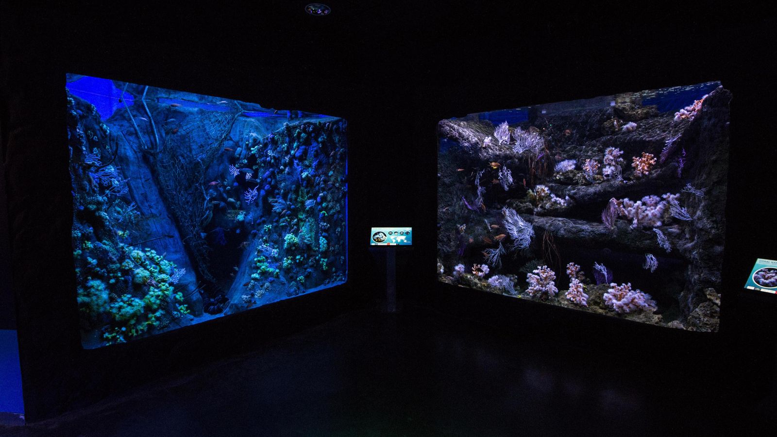 El recorrido de la visita por los 40 tanques de exposición recuerdan el viaje de Magallanes.