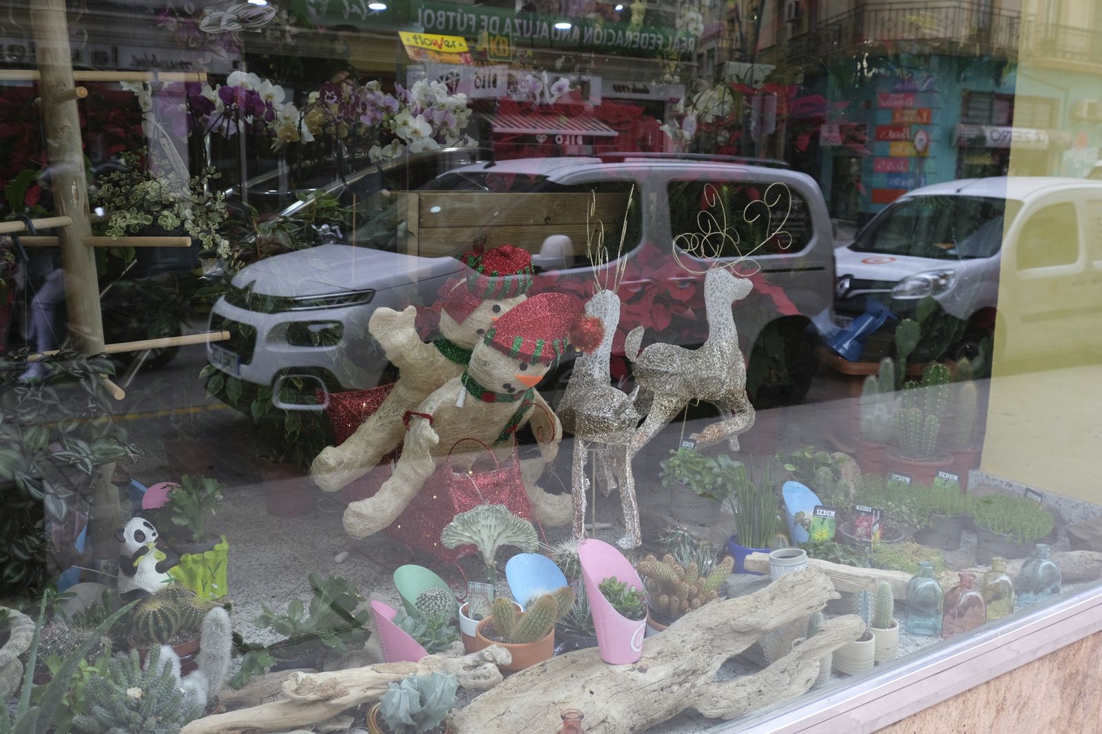 Fotogalería Floristería Suministros Tripiana