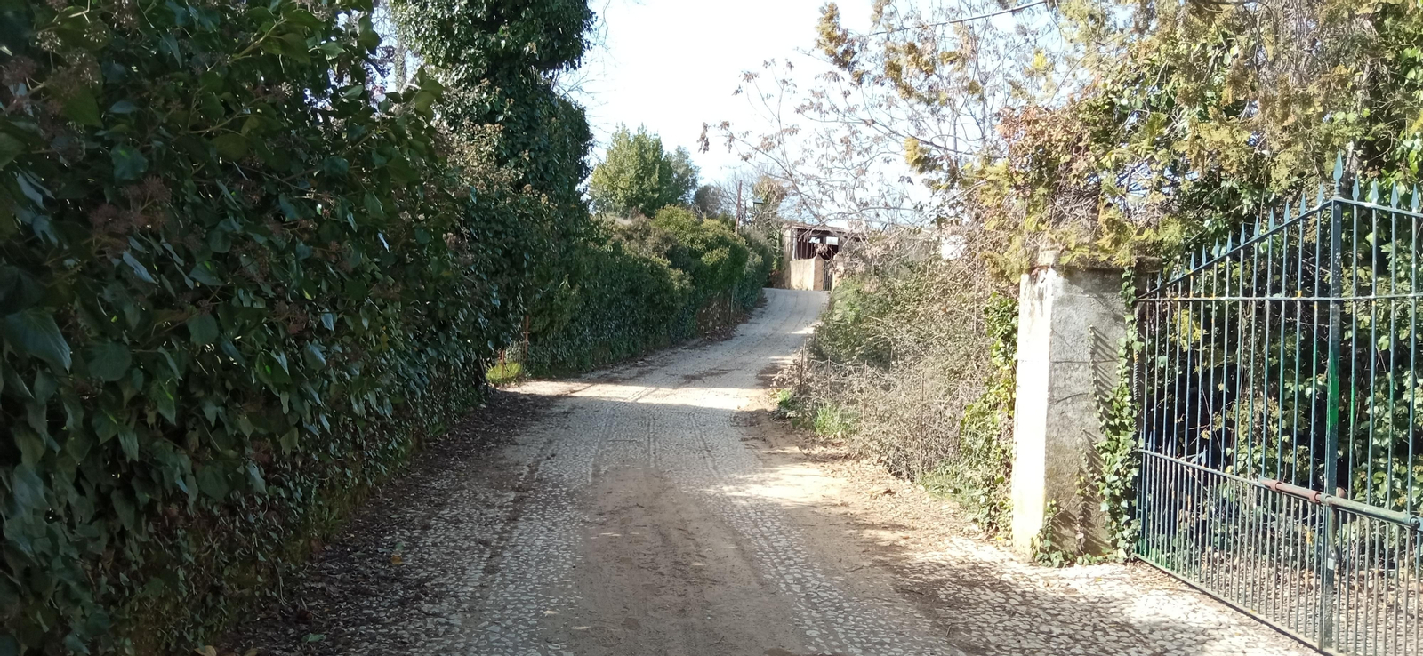 Las imágenes de la ruta de la Dehesa de Valdelama: De Los Marines a Fuenteheridos y vuelta