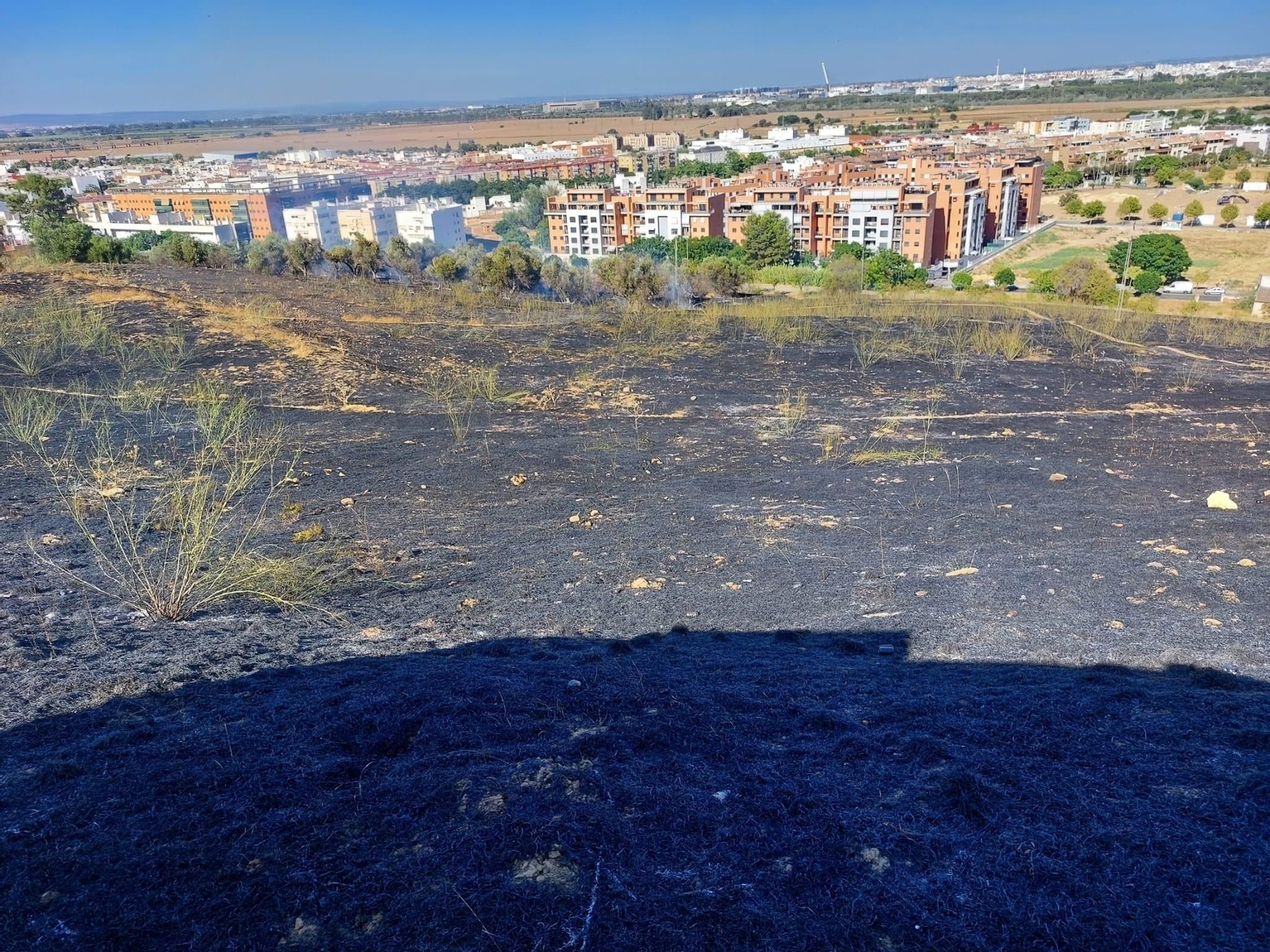 Imagen del Cerro del Carambolo, en Camas, tras el incendio.