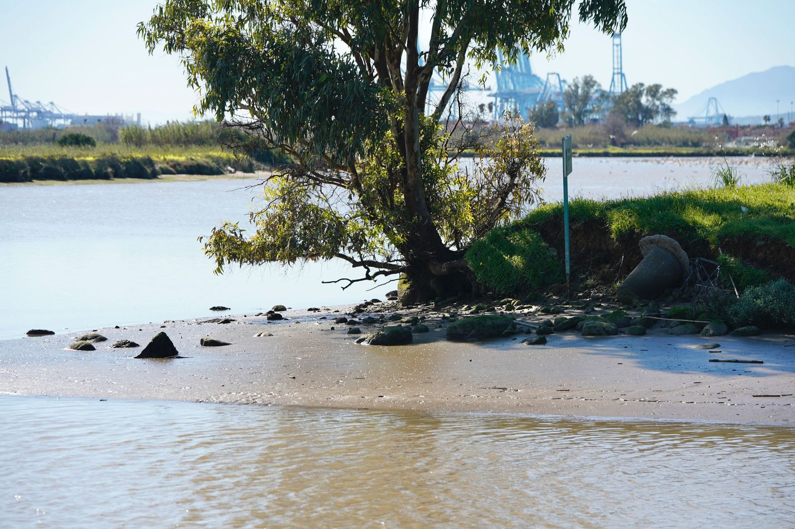 Fotos de la contaminación en el paraje natural marismas del Río Palmones