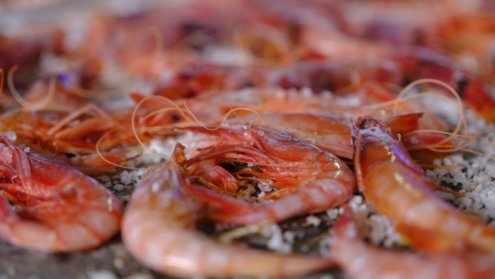 Imágenes de la Feria de la Gamba Roja de Garrucha