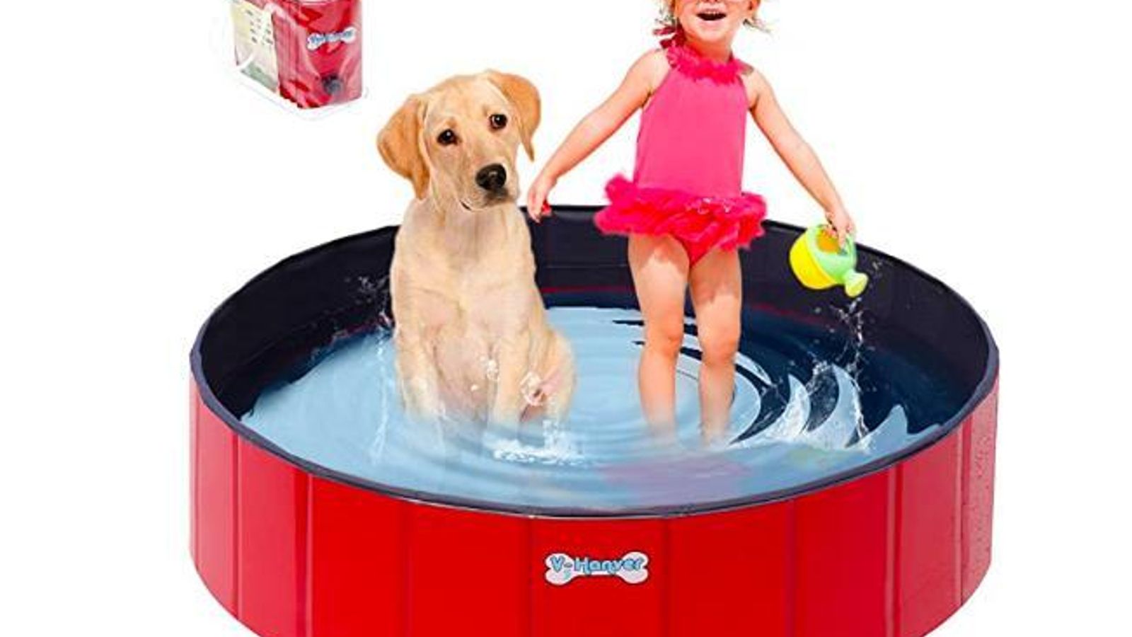 Piscina para perros
