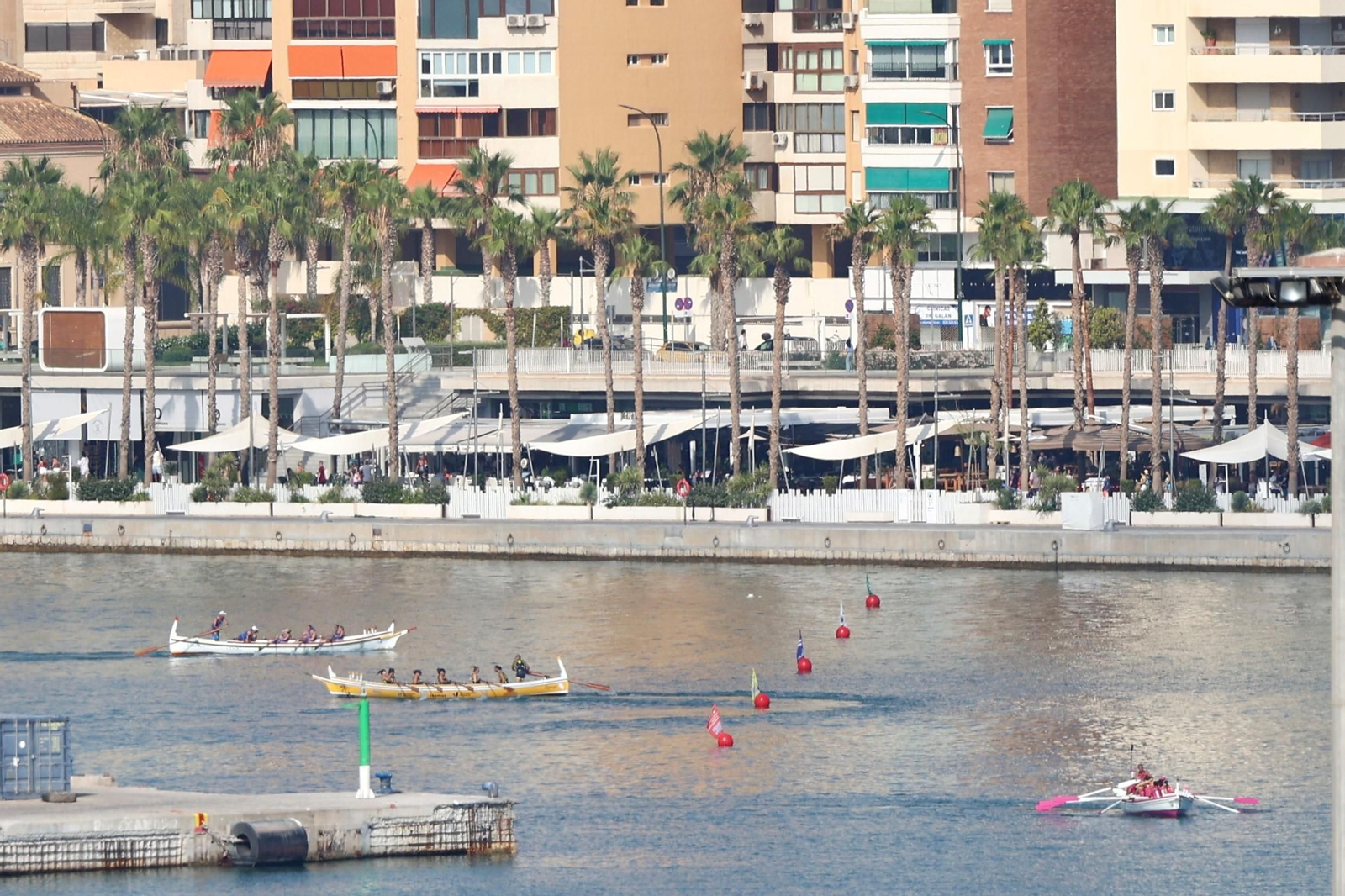 Las fotos de la 62ª edición del GP Ciudad de Málaga de jábegas Las fotos de la 62ª edición del GP Ciudad de Málaga de jábegas