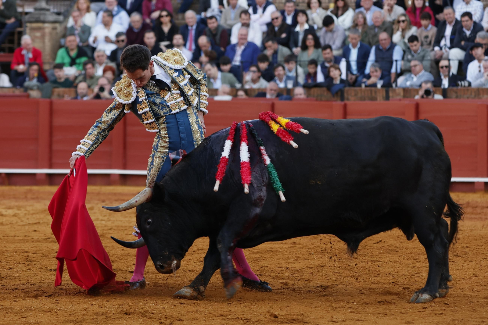 Las Imágenes del festejo