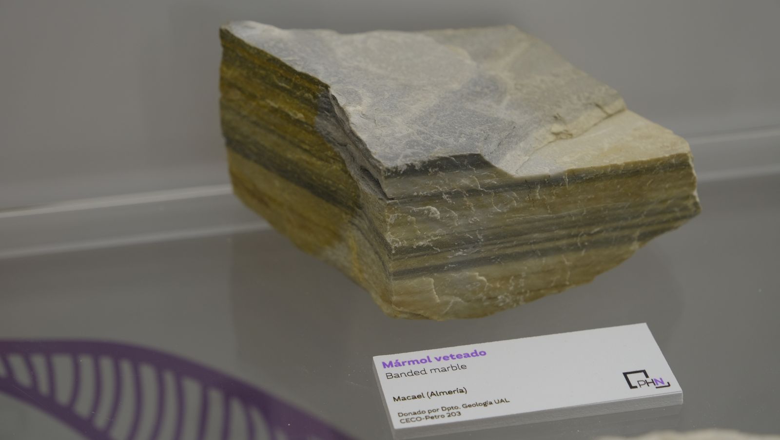 Las mejores imágenes del Pabellón de Historia Natural de la UAL