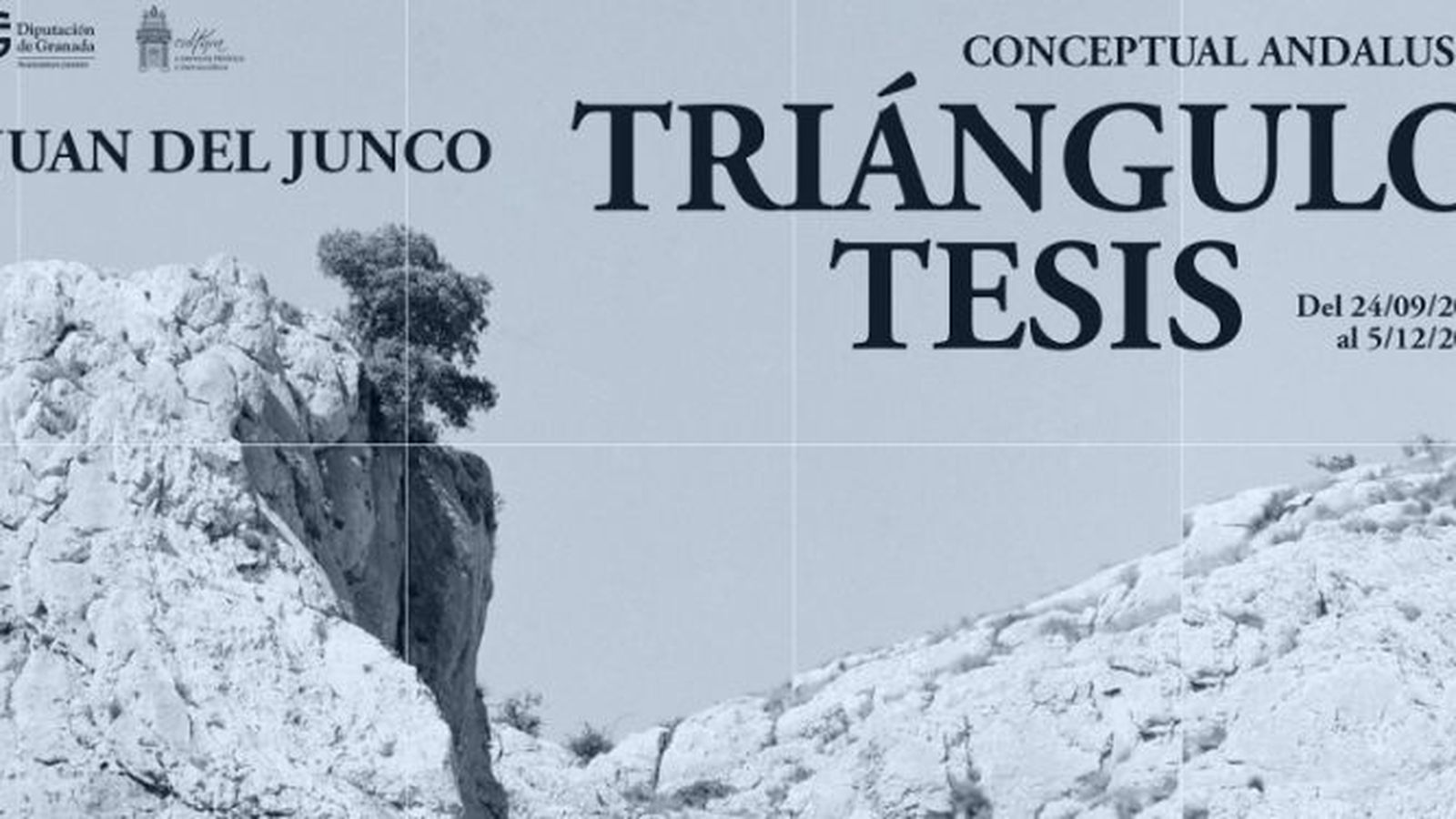 Cartel de la exposición de Juan del Junco en Granada.