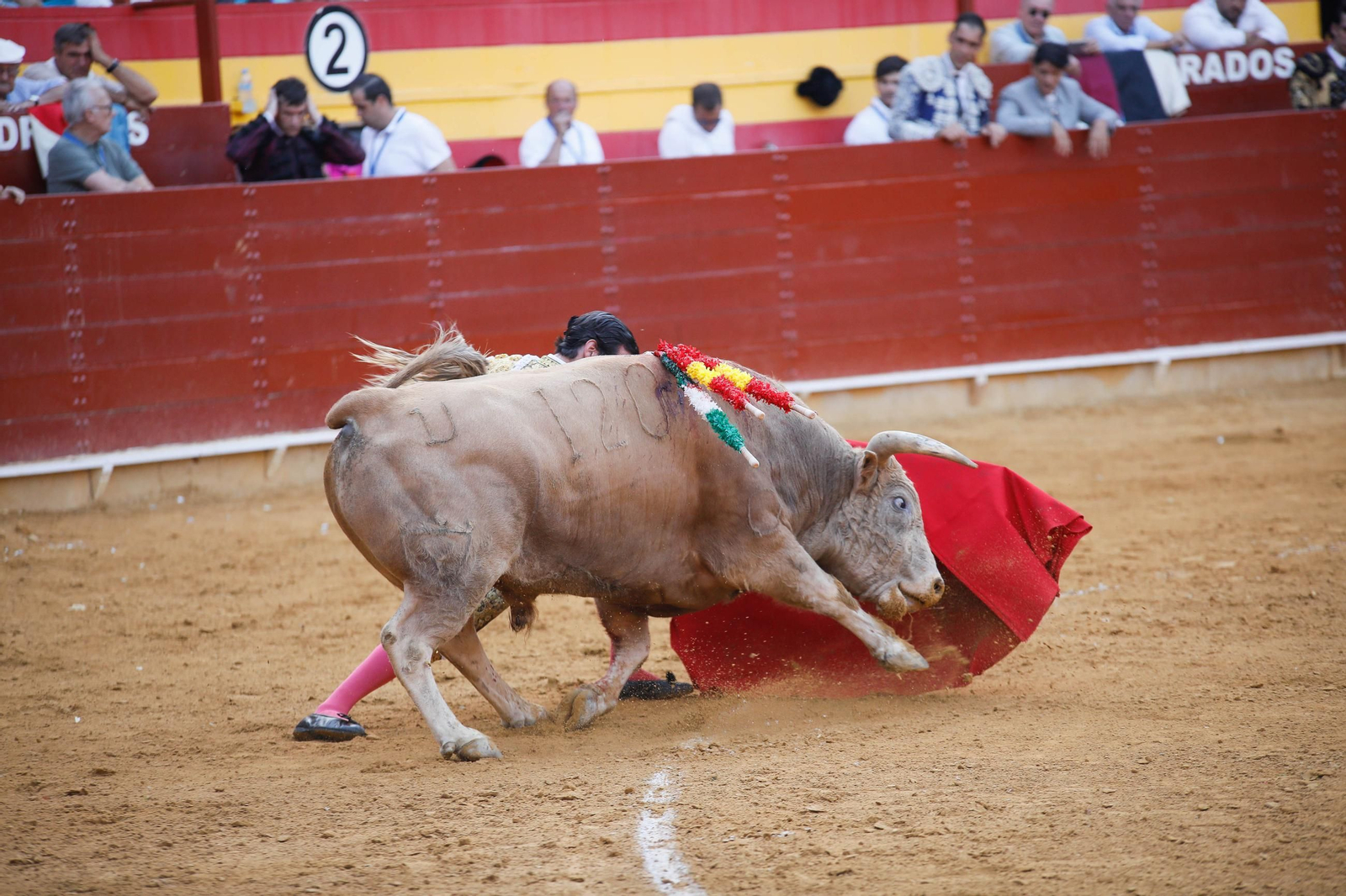 Imágenes de la corrida de toros en Roquetas de Mar