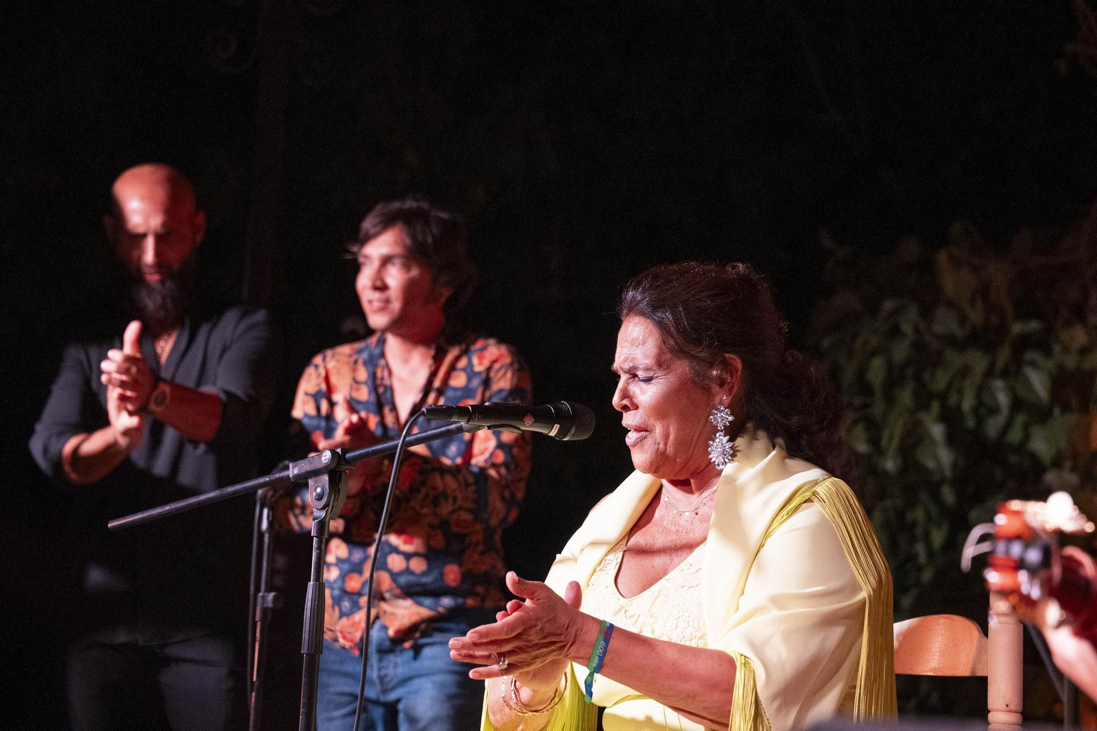 Las mejores imágenes del Festival de Flamenco en Fondón