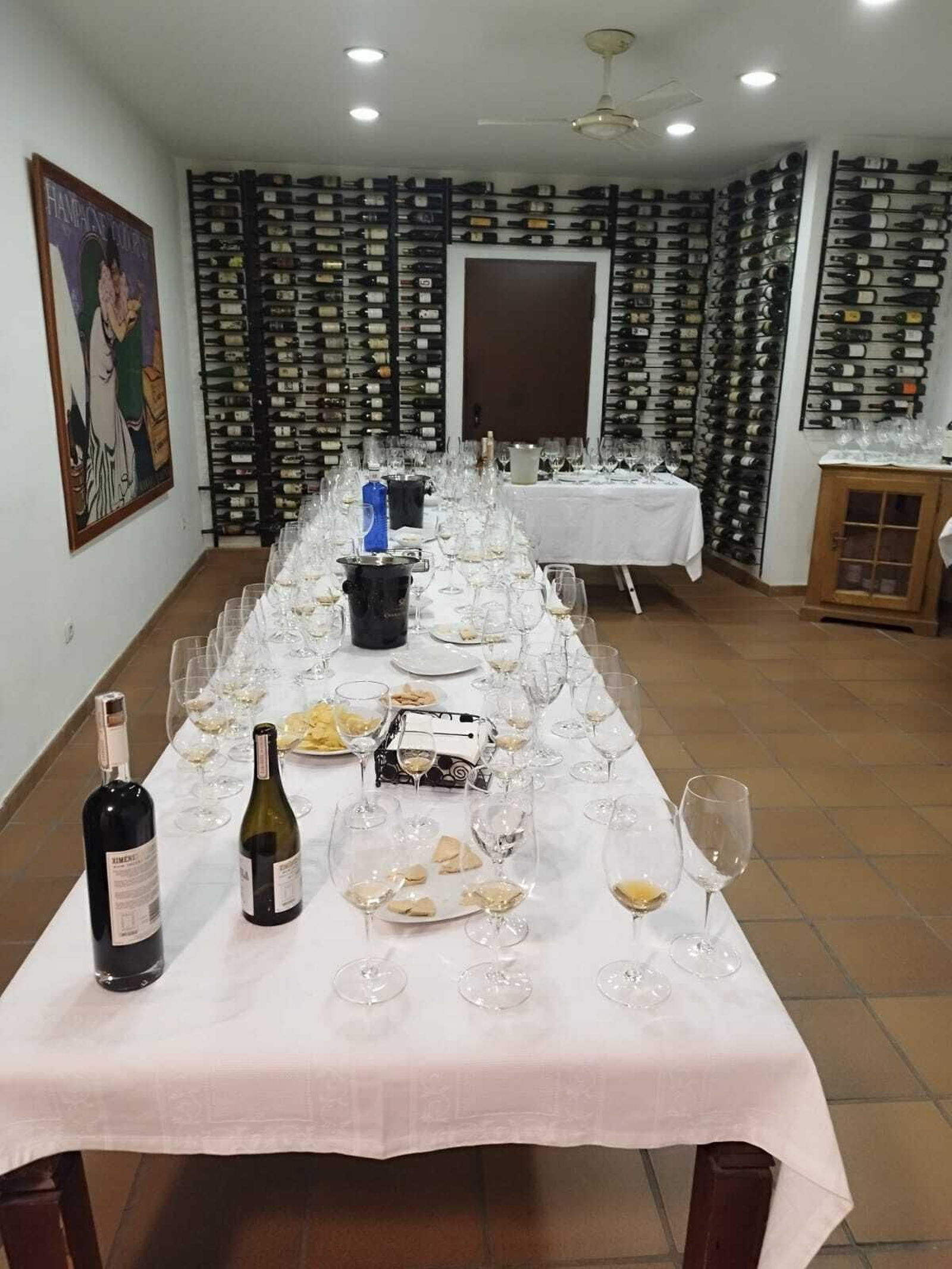 Cata de vinos en Tierra Nuestra