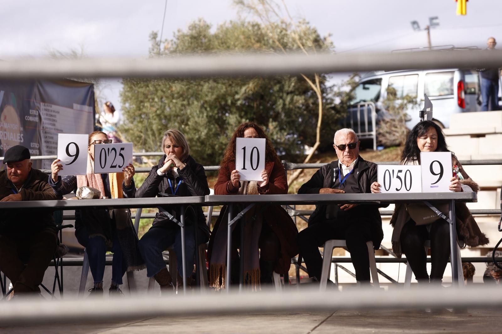Verdiales: Málaga celebra sus raíces