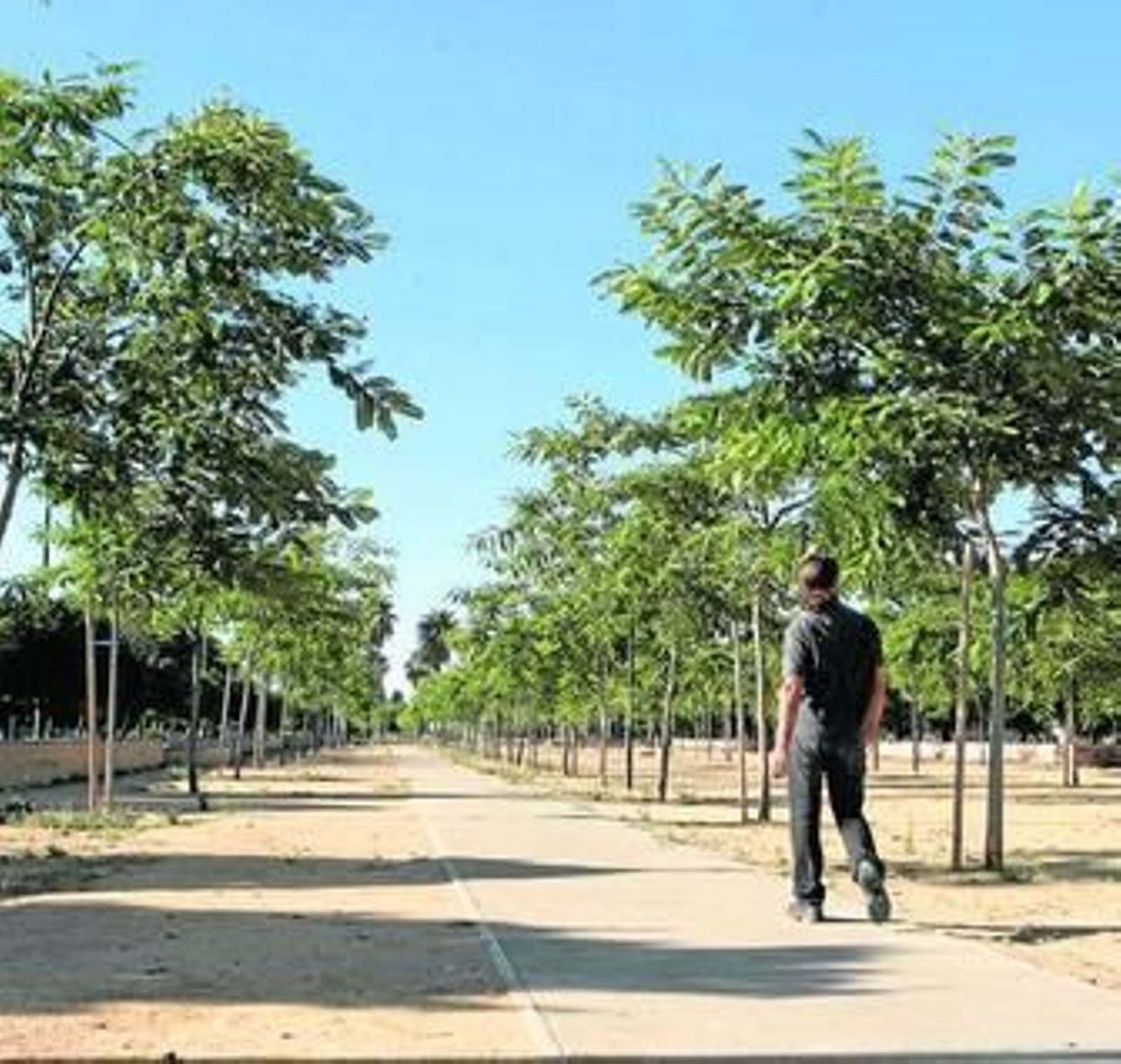 El sistema de nebulización del agua ha desparecido por completo.