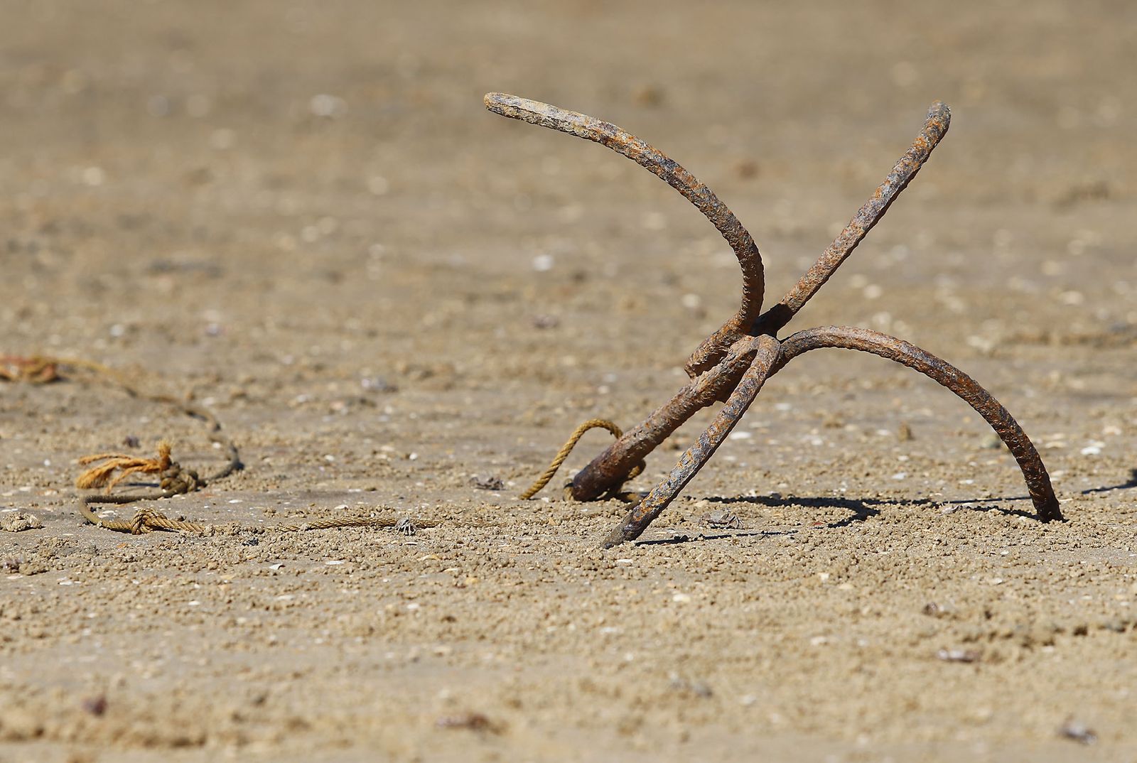 Imágenes de las playas de Huelva en el sábado 15 de agosto