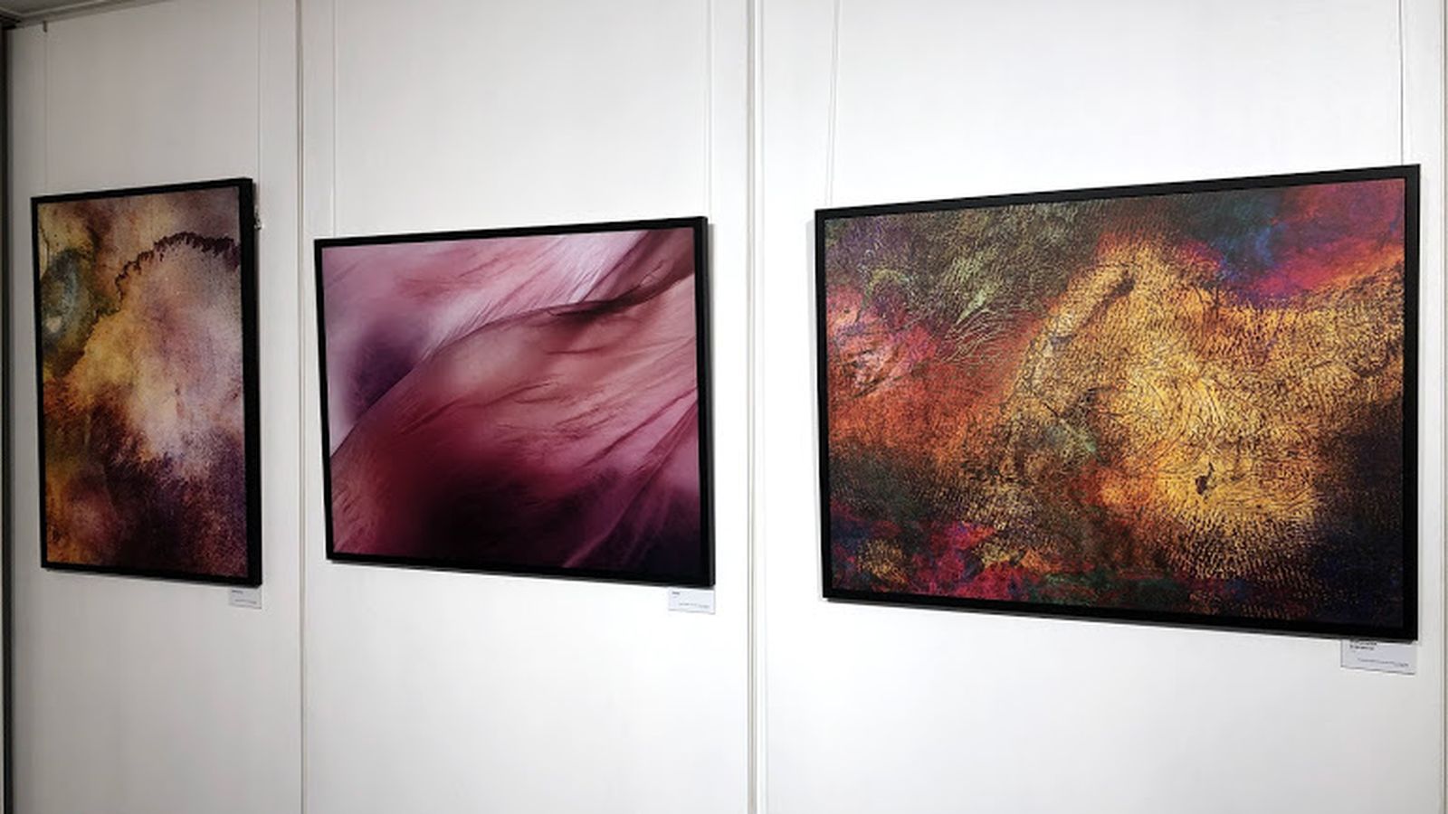 Algunas de las obras expuestas en la sala de Caja Rural del Sur, hasta el 23 de noviembre.