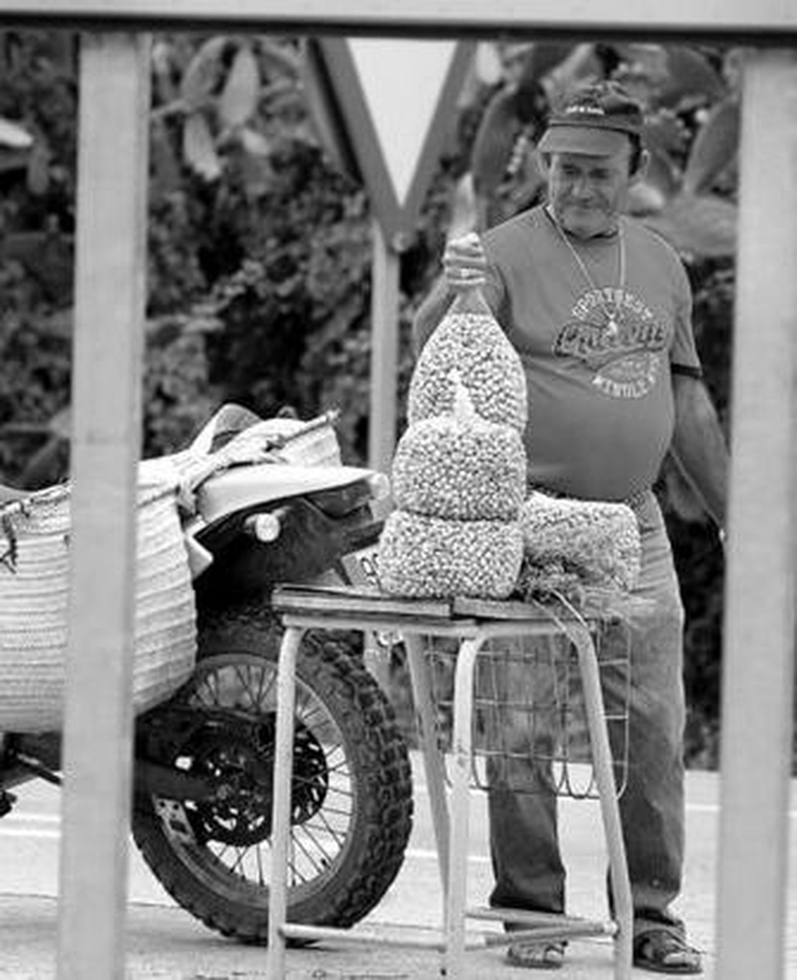 1. Antonio en su punto de venta en un cruce de caminos a las afueras de Medina Sidonia. Si hay suerte, su 'caja' diaria puede llegar a los 40 euros 2. Una mujer carga kilos de caracoles en su furgoneta para la distribución por la ventas de la zona. 3. Intercambio en la venta Cuatro Caminos, de Medina, conocida tradicionalmente como La Viuda. Este lugar era hace años una gran lonja del caracol y el kilo se pagaba a 500 pesetas.  4. Nicolás muestra su cámara frigorífica en la planta que tiene en Medina. Compra caracol marroquí al mayorista 'Paco El Cordobés'. Su destino es, principalmente, Sevilla y Córdoba. Reportaje Gráfico: PASCUAL