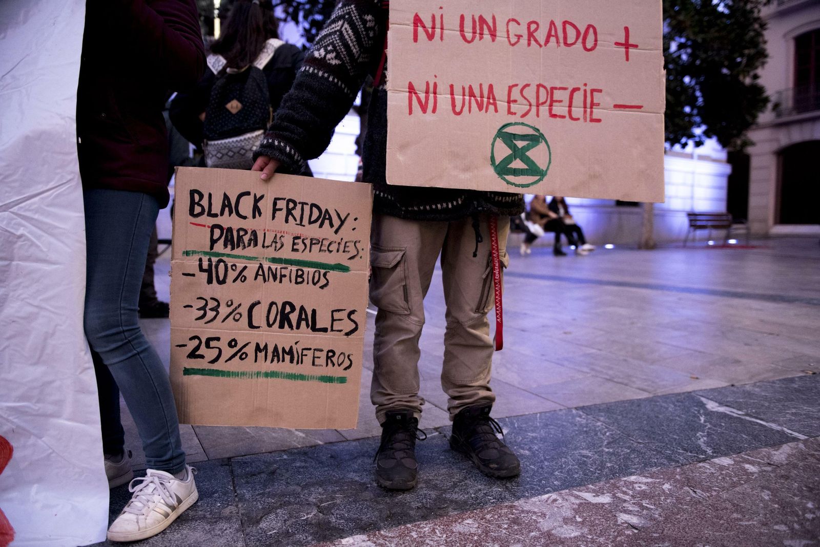 Las fotos del Black Friday en Granada