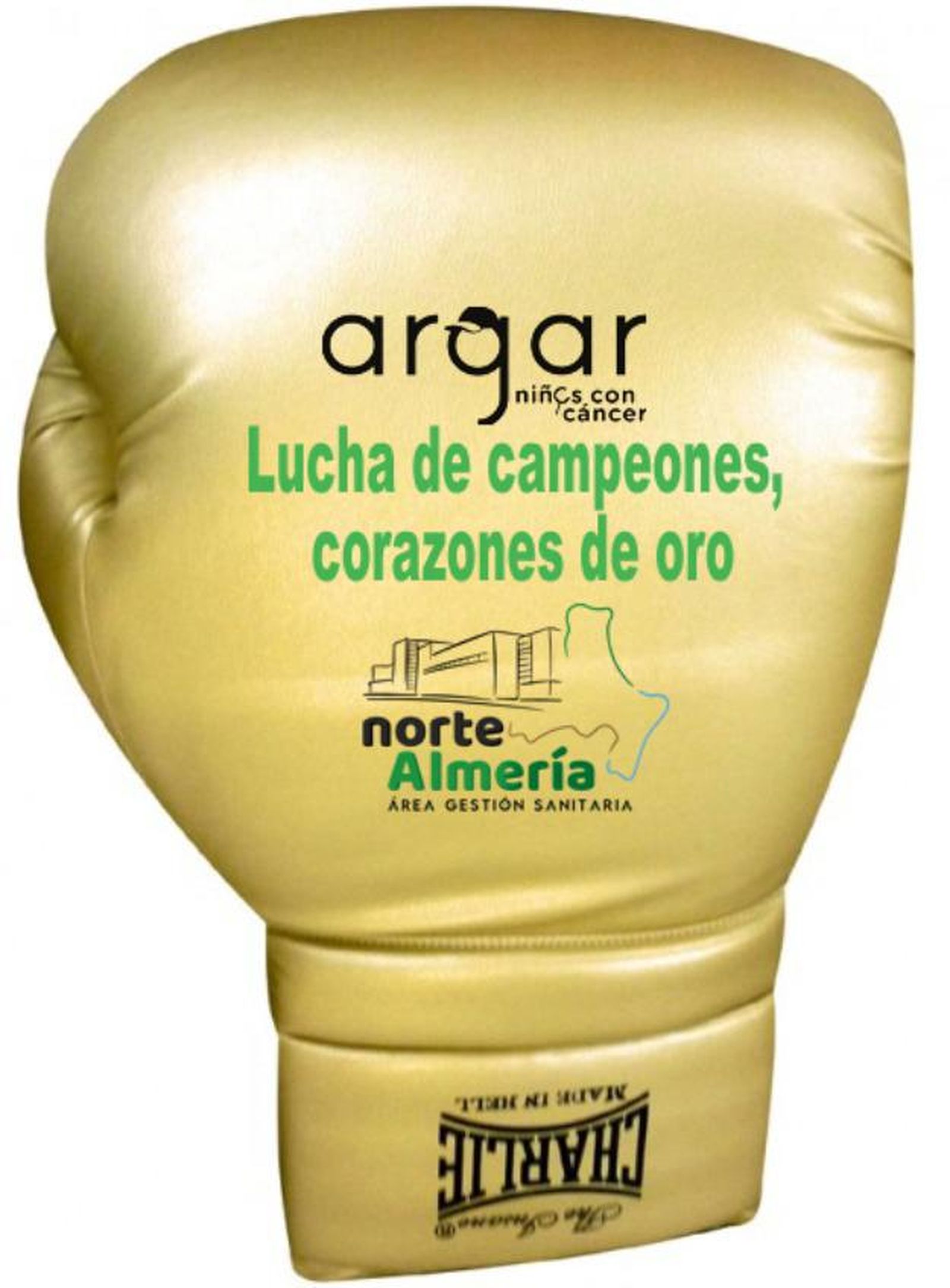 Guante destinado a la Asociación Argar.