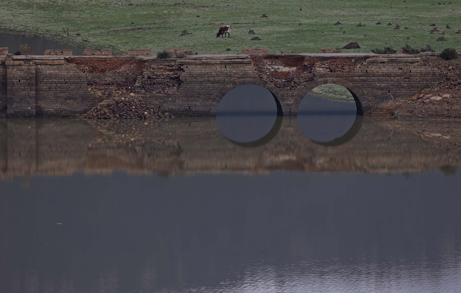 Fotos del pantano de Charco Redondo en Los Barrios