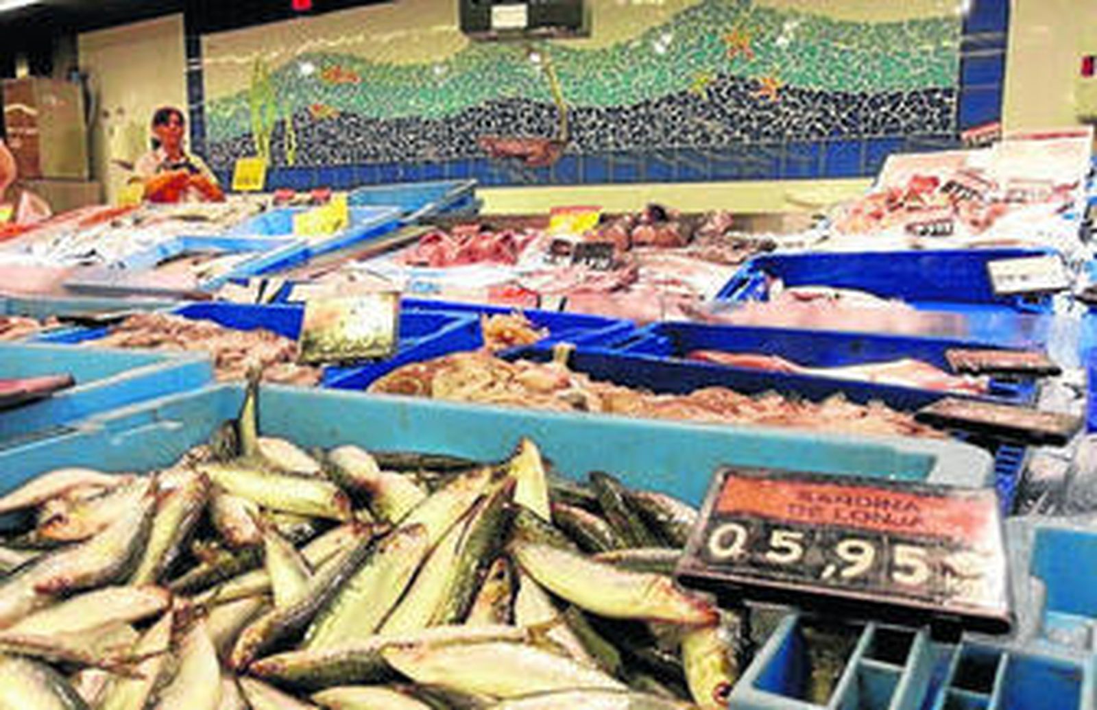 Mostrador de pesca con muestra de sardina de lonja.