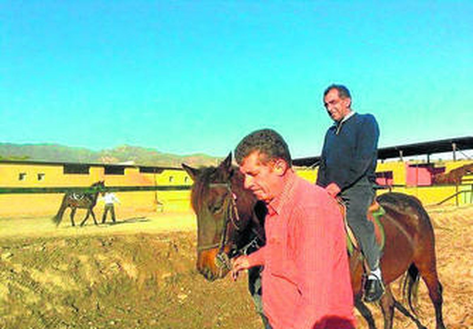 La terapia con caballos mejora las funciones de enfermos mentales