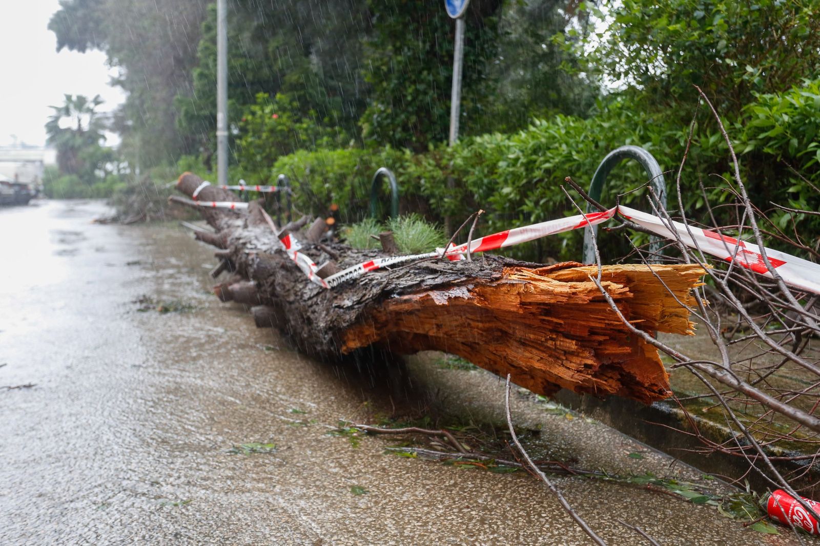 Fotografías de árboles caídos e inundaciones por la borrasca Leonardo