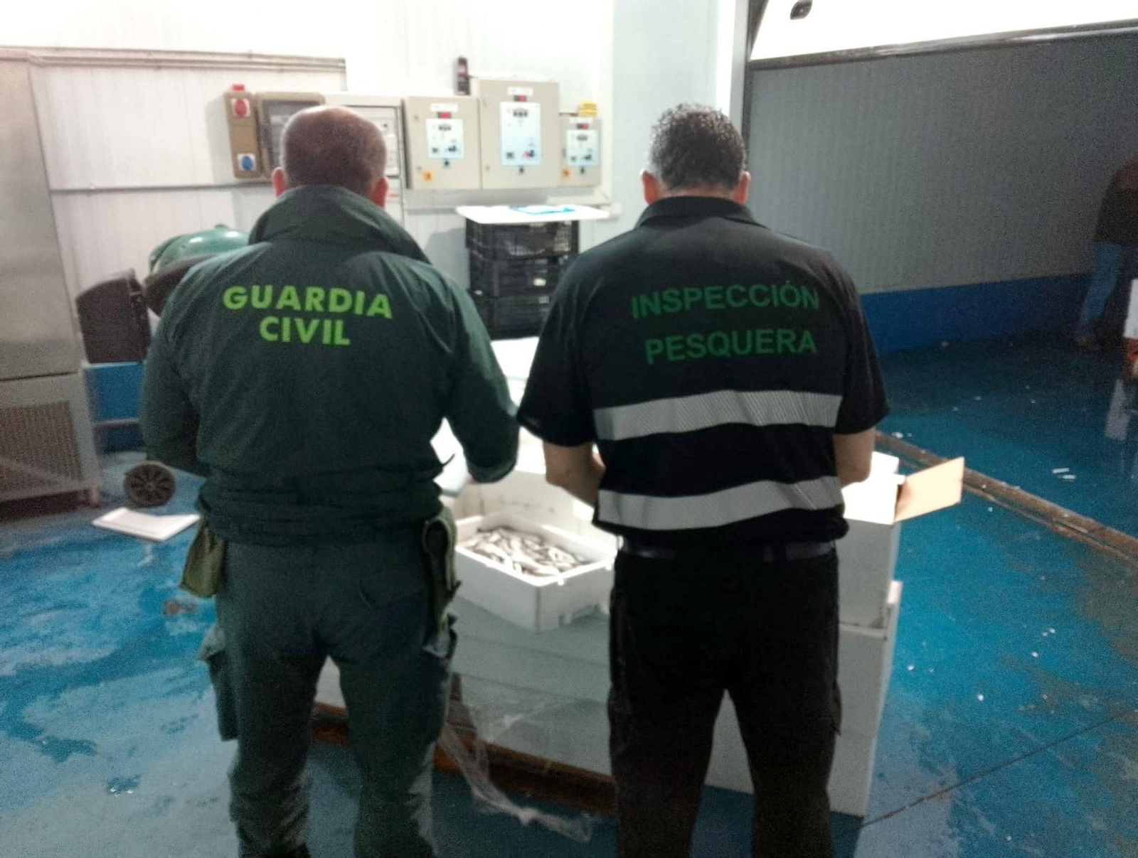Agente de la Guardia Civil e Inspección, con el pescado incautado.