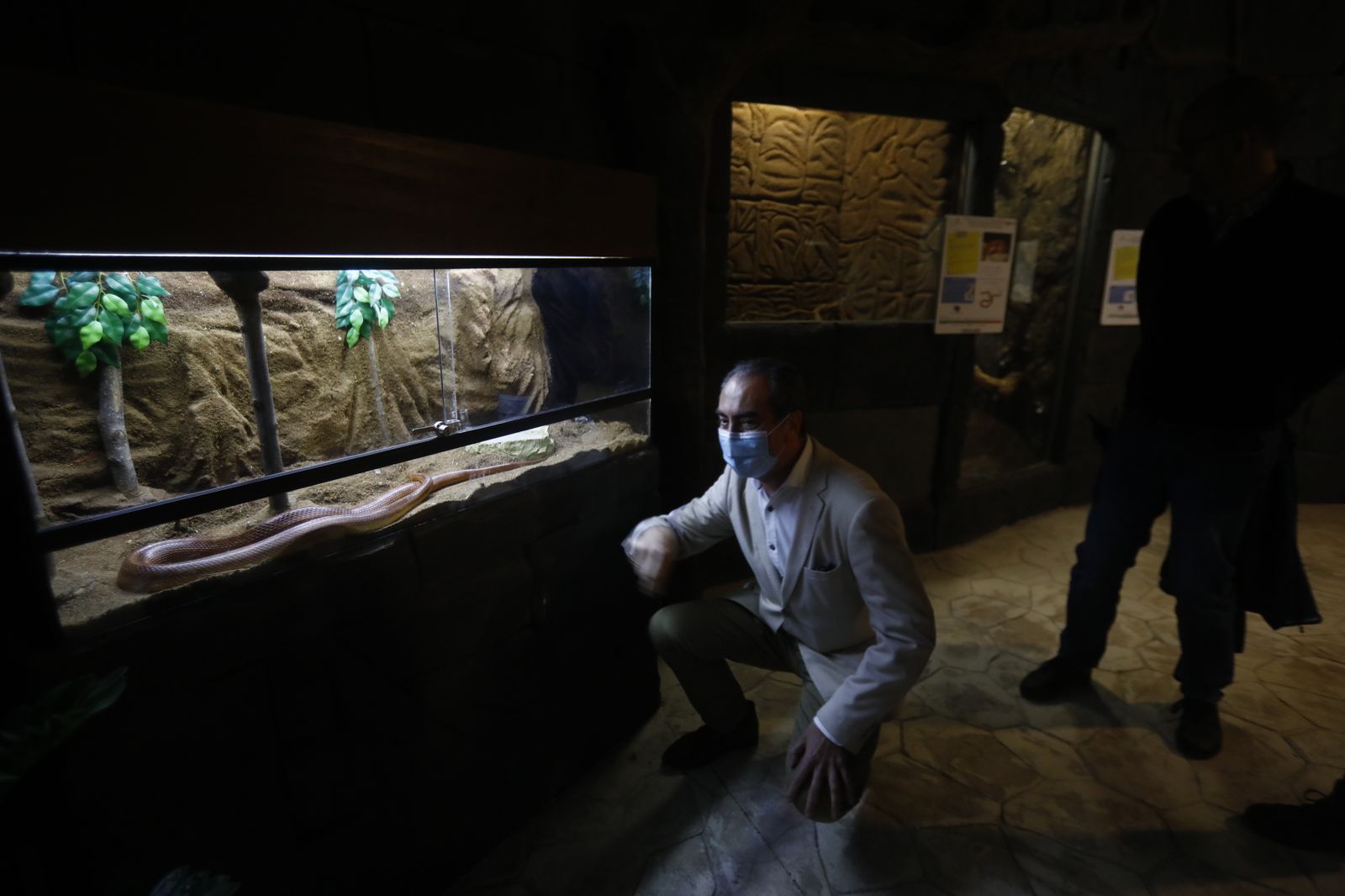 El nuevo reptilario del zoológico de Córdoba, en fotografías