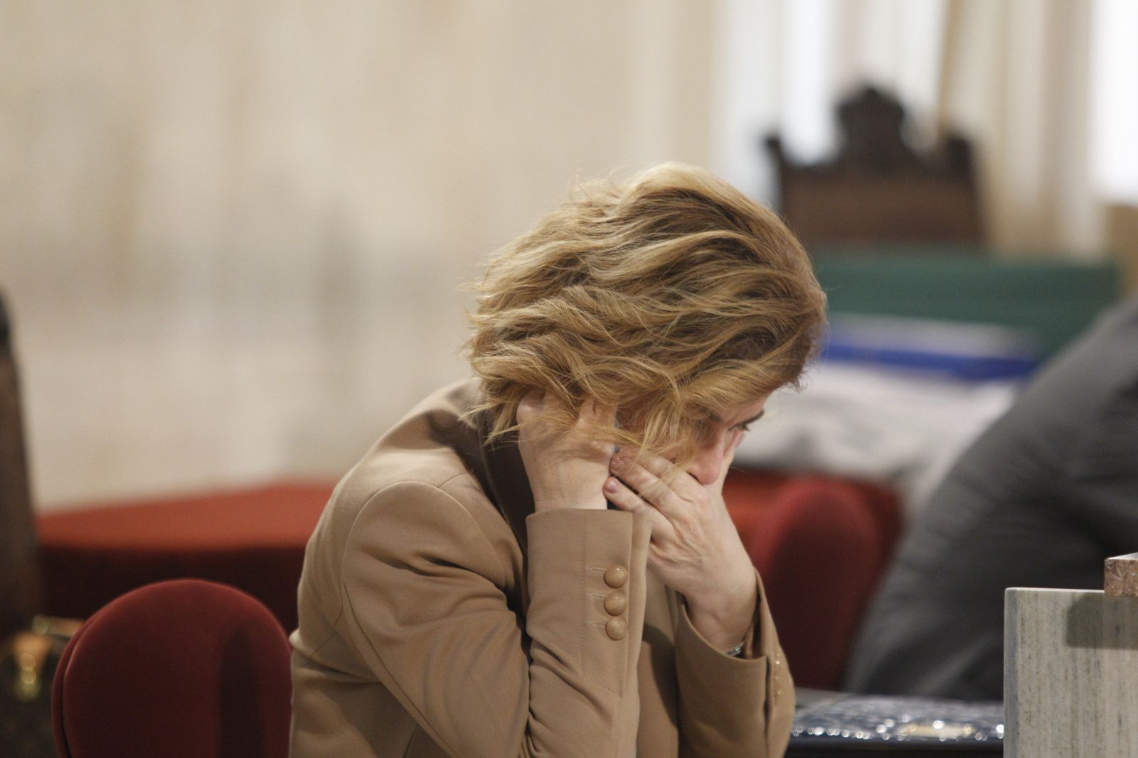 Fotogalería Pleno Extraordinario Ayuntamiento de Almería