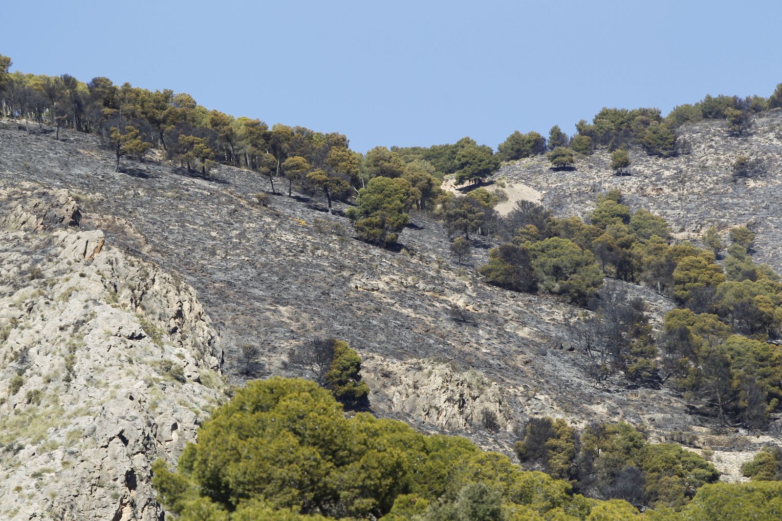 Fotogalería incendio forestal de Castala, Berja y Dalías.