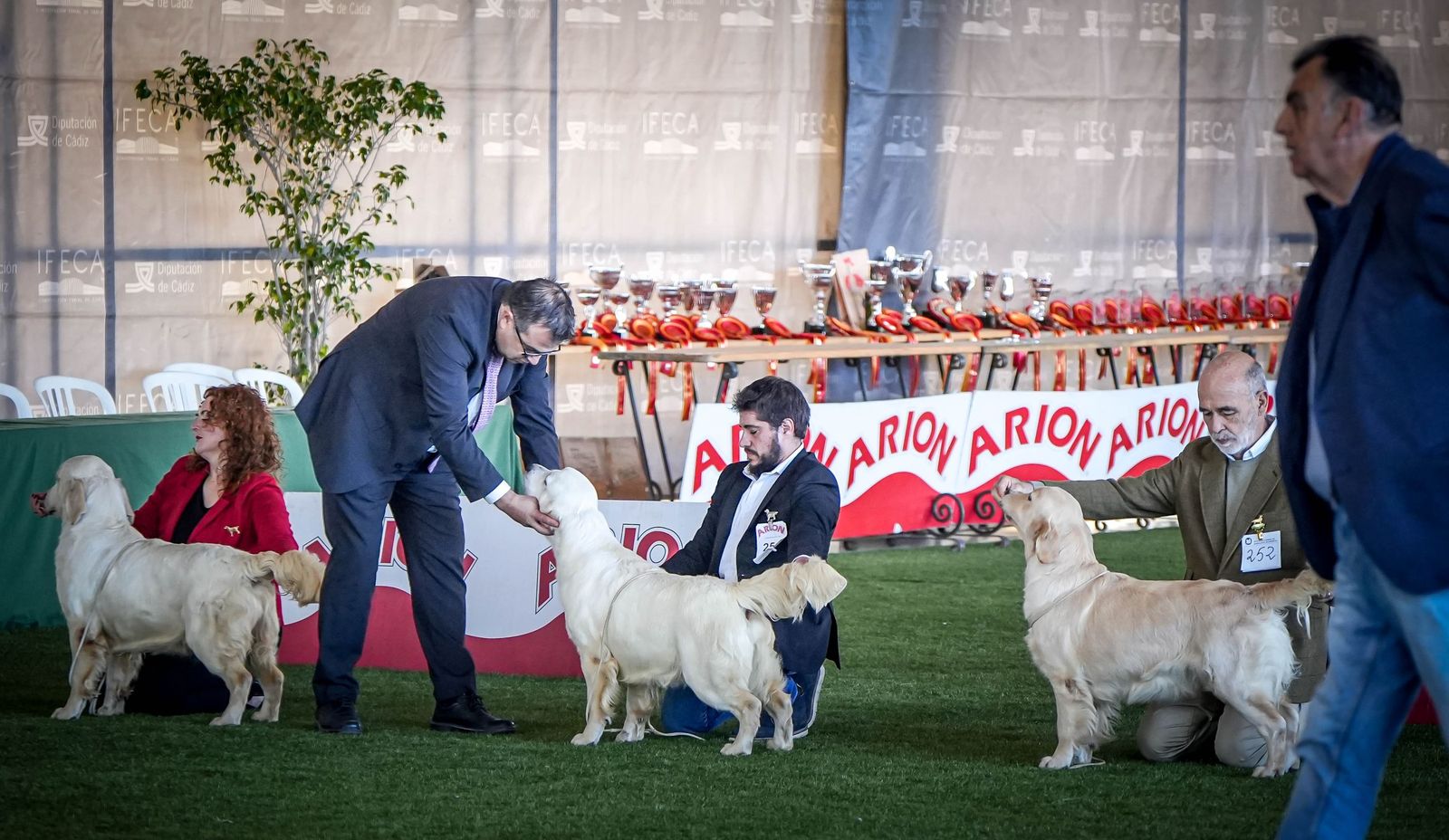 Espectacular exposición canina en Ifeca Jerez, en imágenes