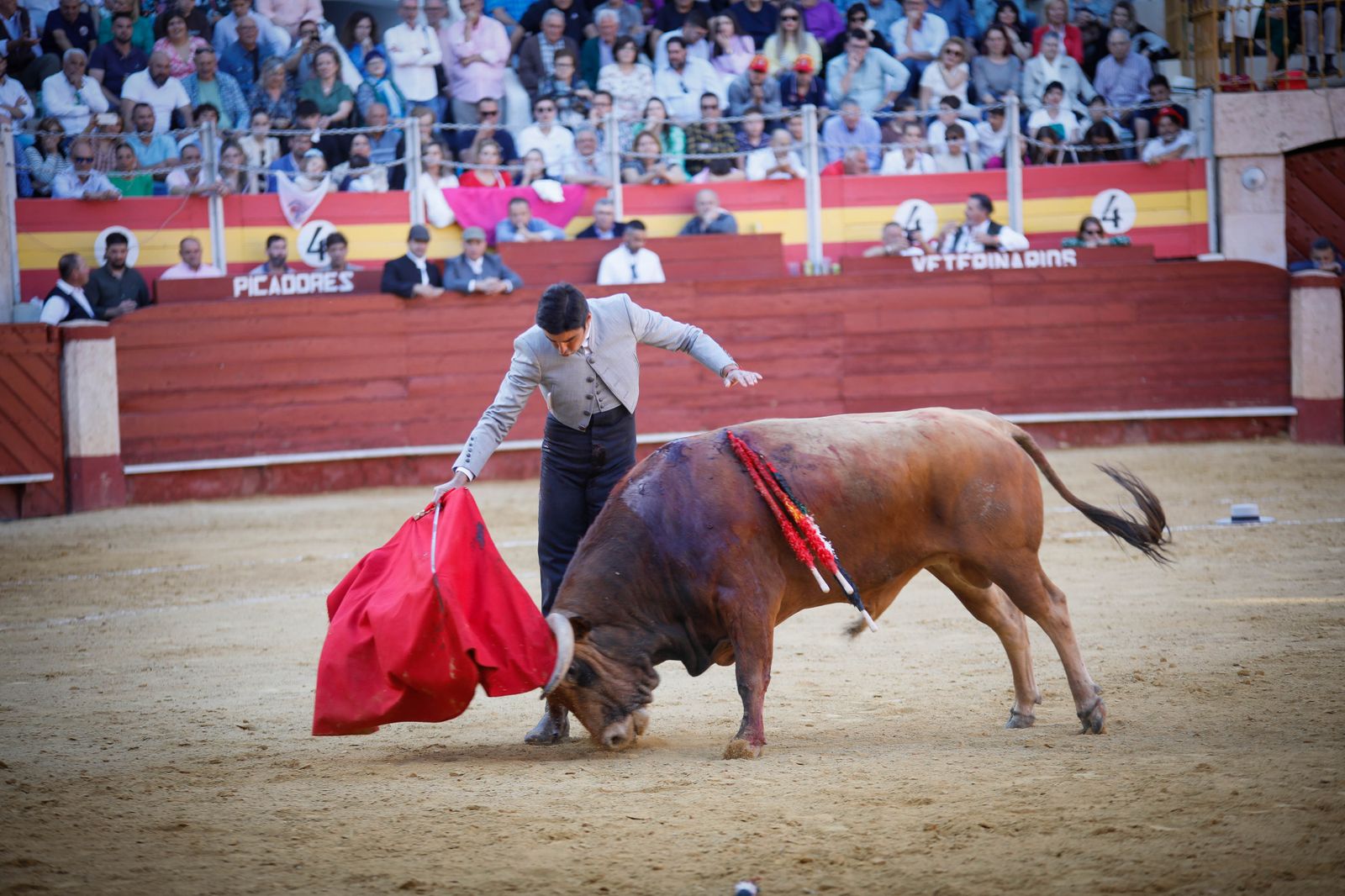 Imágenes del festival mixto lucha contra el cáncer
