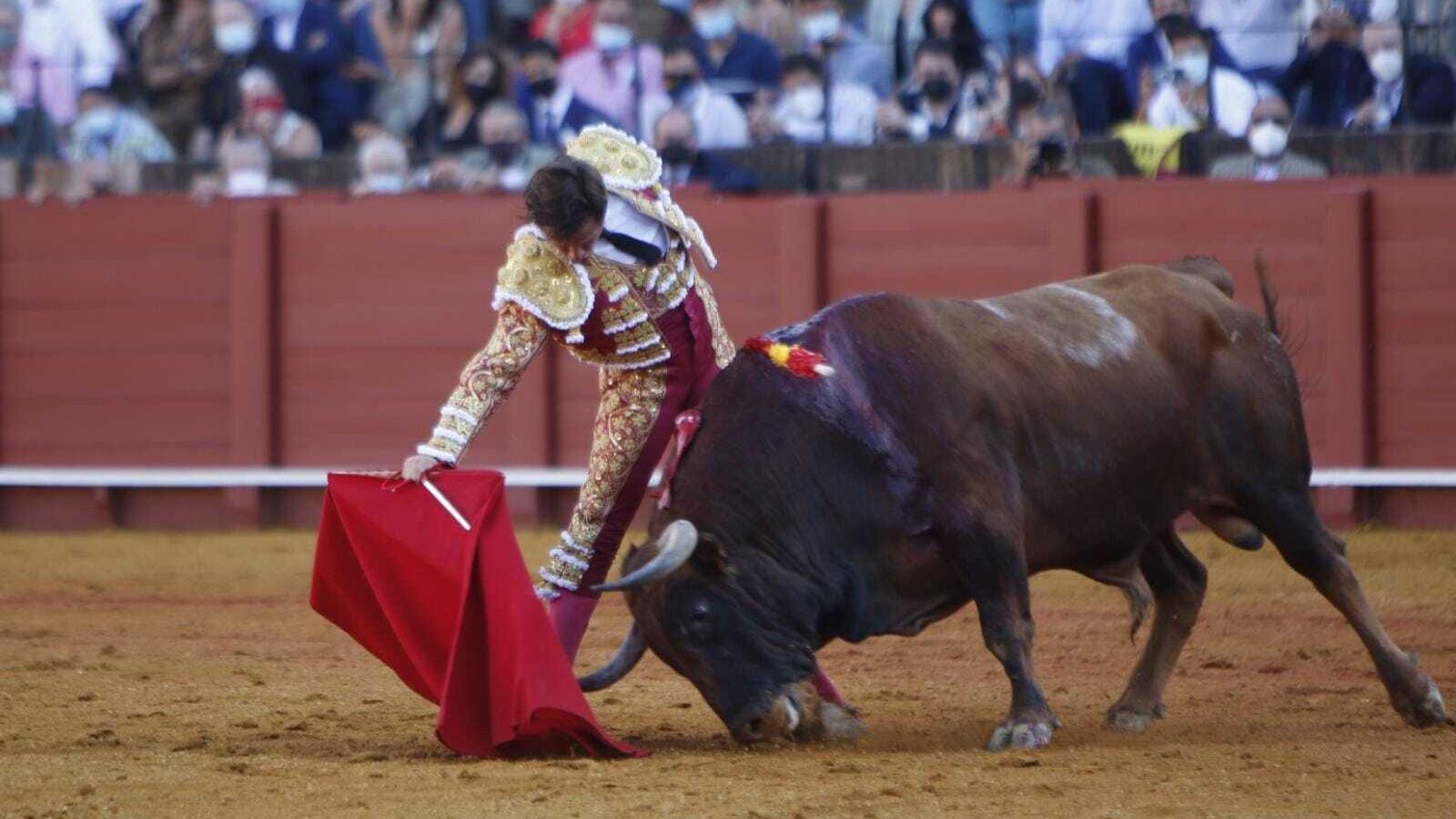 El Juli torea el primer sobrero.