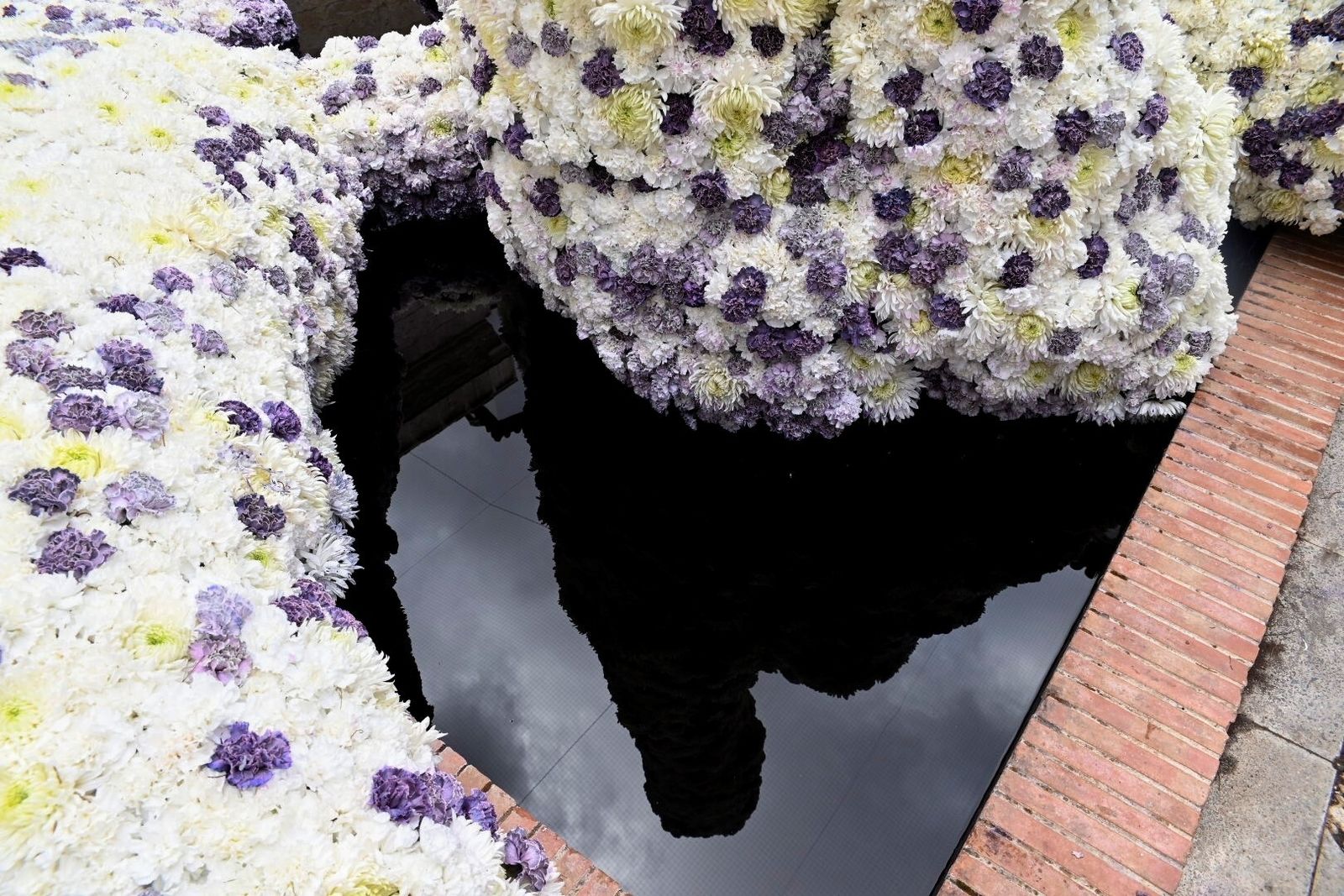 Arranca Flora 2023: estas son las mejores imágenes