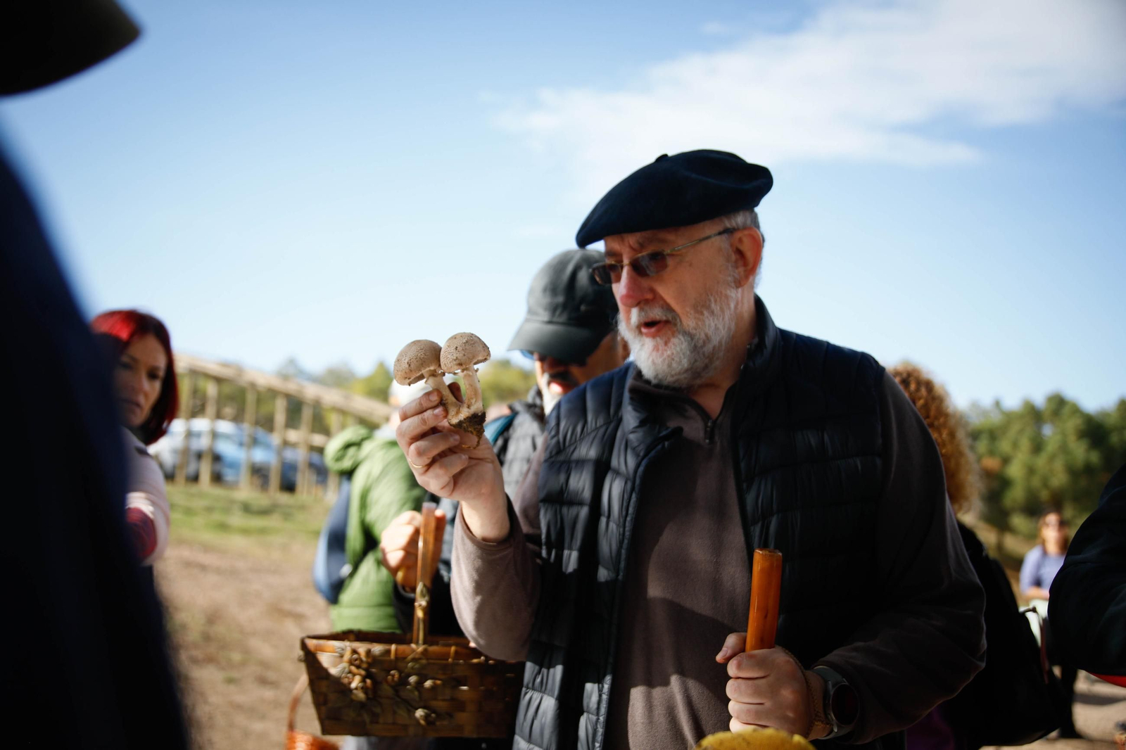 La ruta recolectora de setas en Abla por las XIX Jornadas Micológicas, en imágenes