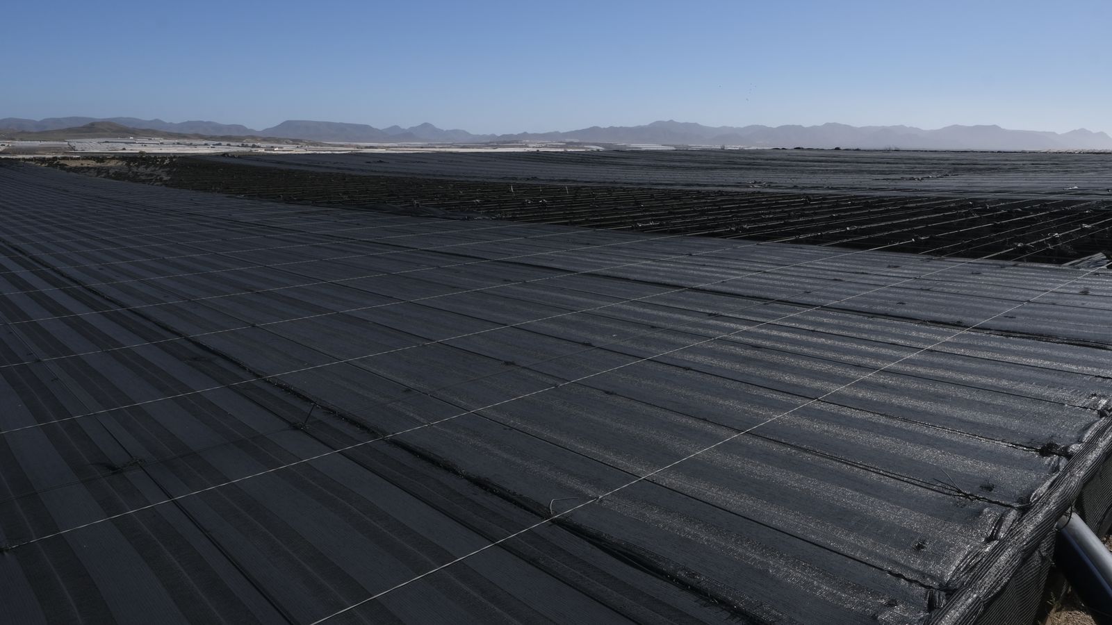 Una de las balsas, tapada con una malla protectora.