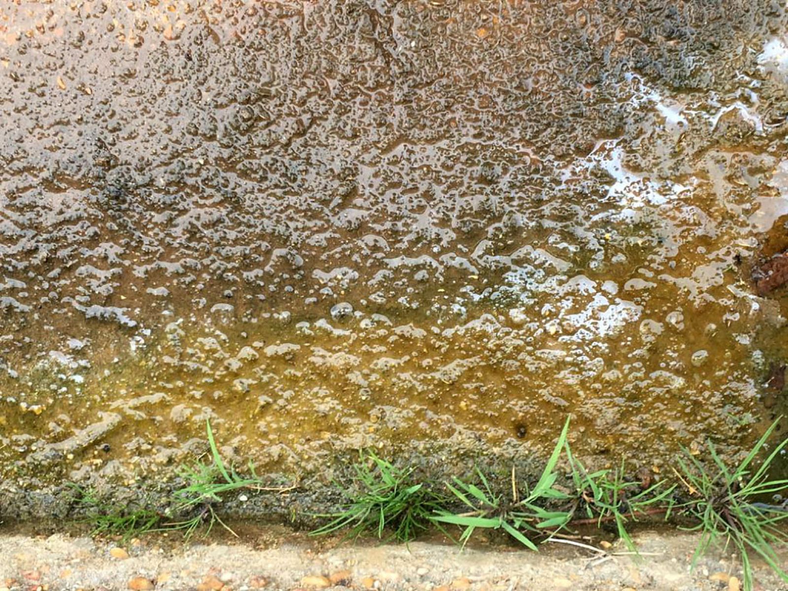 Aguas fecales en el patio del colegio de Pozo del Camino
