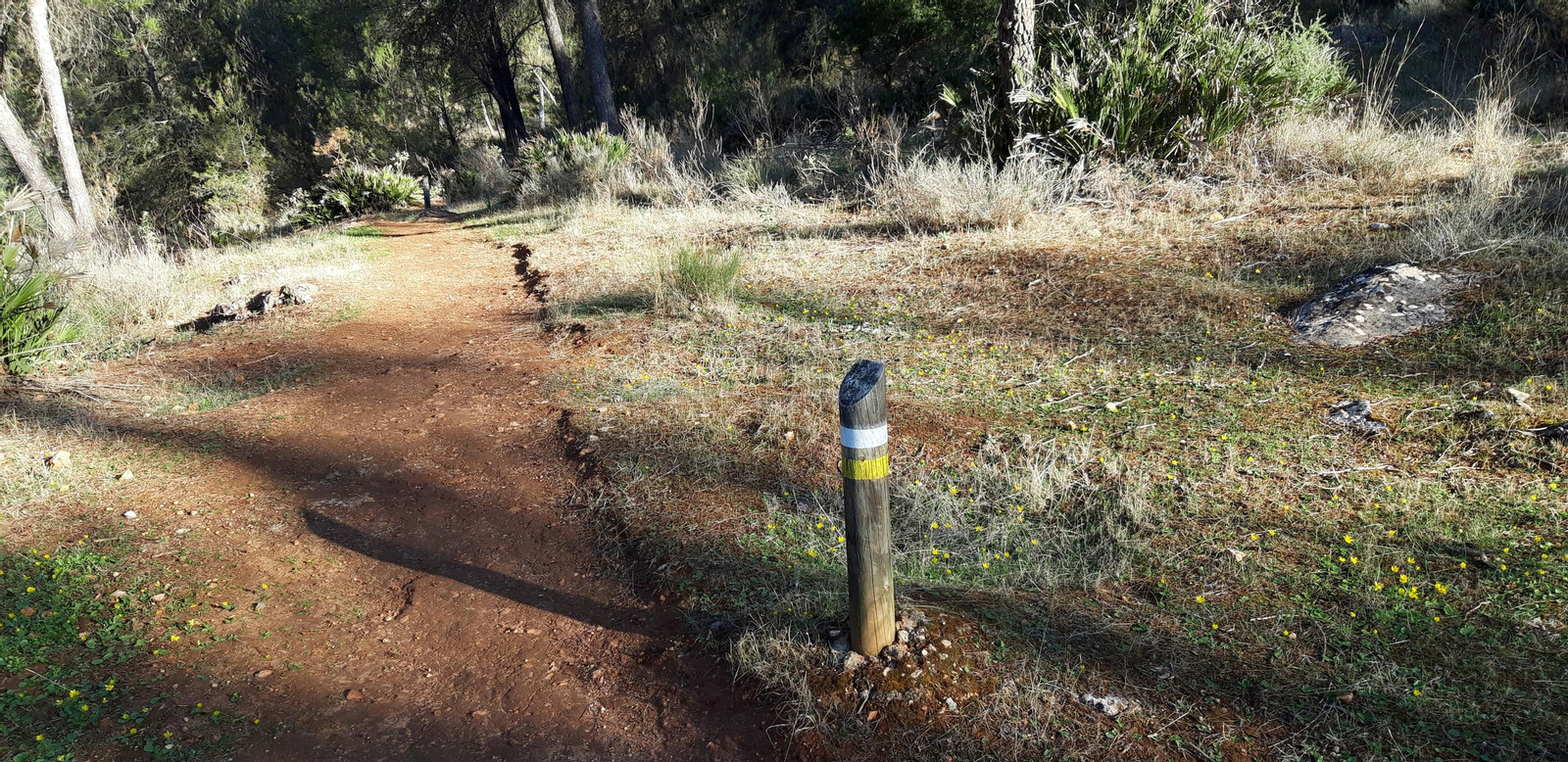 Las fotos de la ruta del castillo de Cote, en Montellano