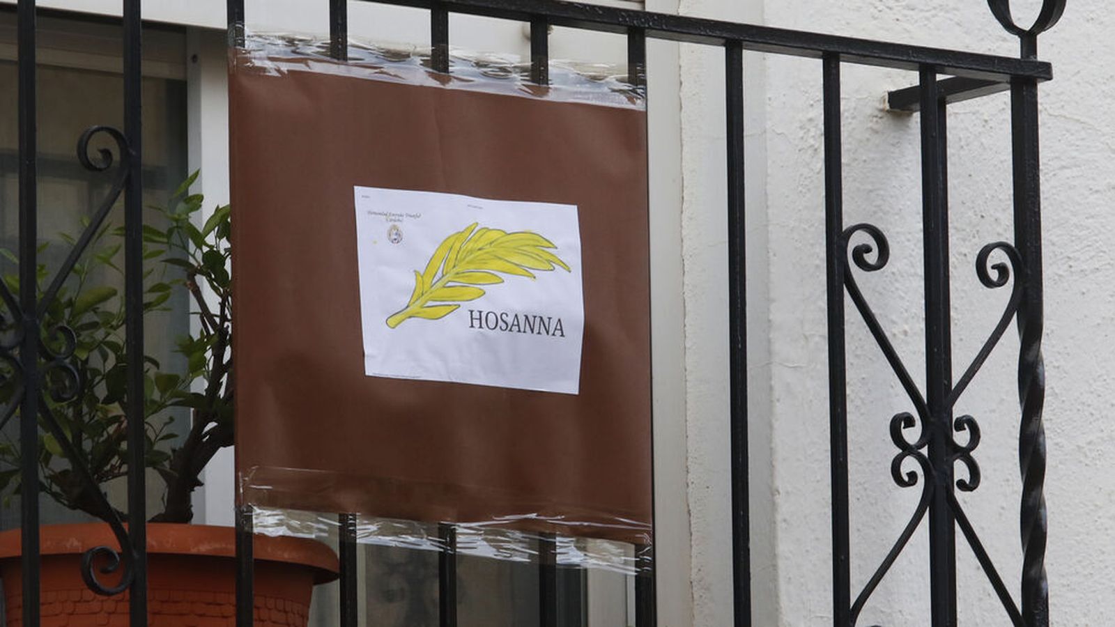 Una de las palmas coloreadas que adornan ventanas y balcones.