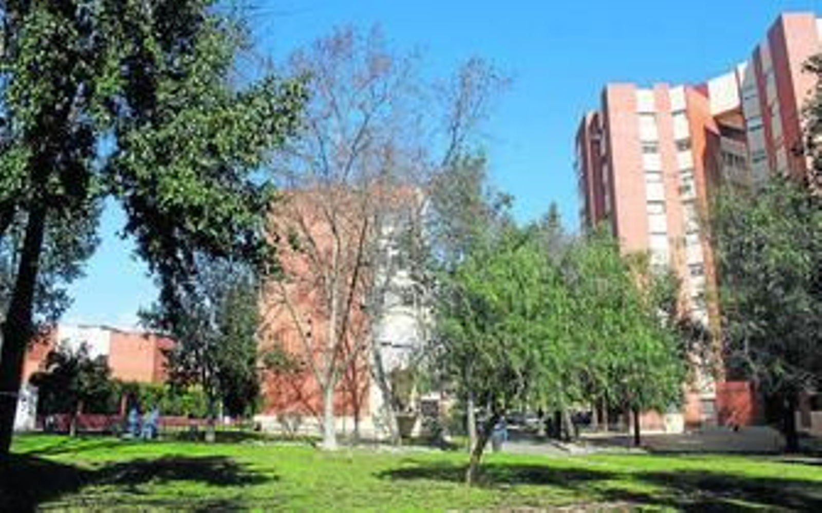 Árboles y jardines en el interior de Santa Marta, donde se despliegan calles peatonales para las que los vecinos reclaman más atención municipal.