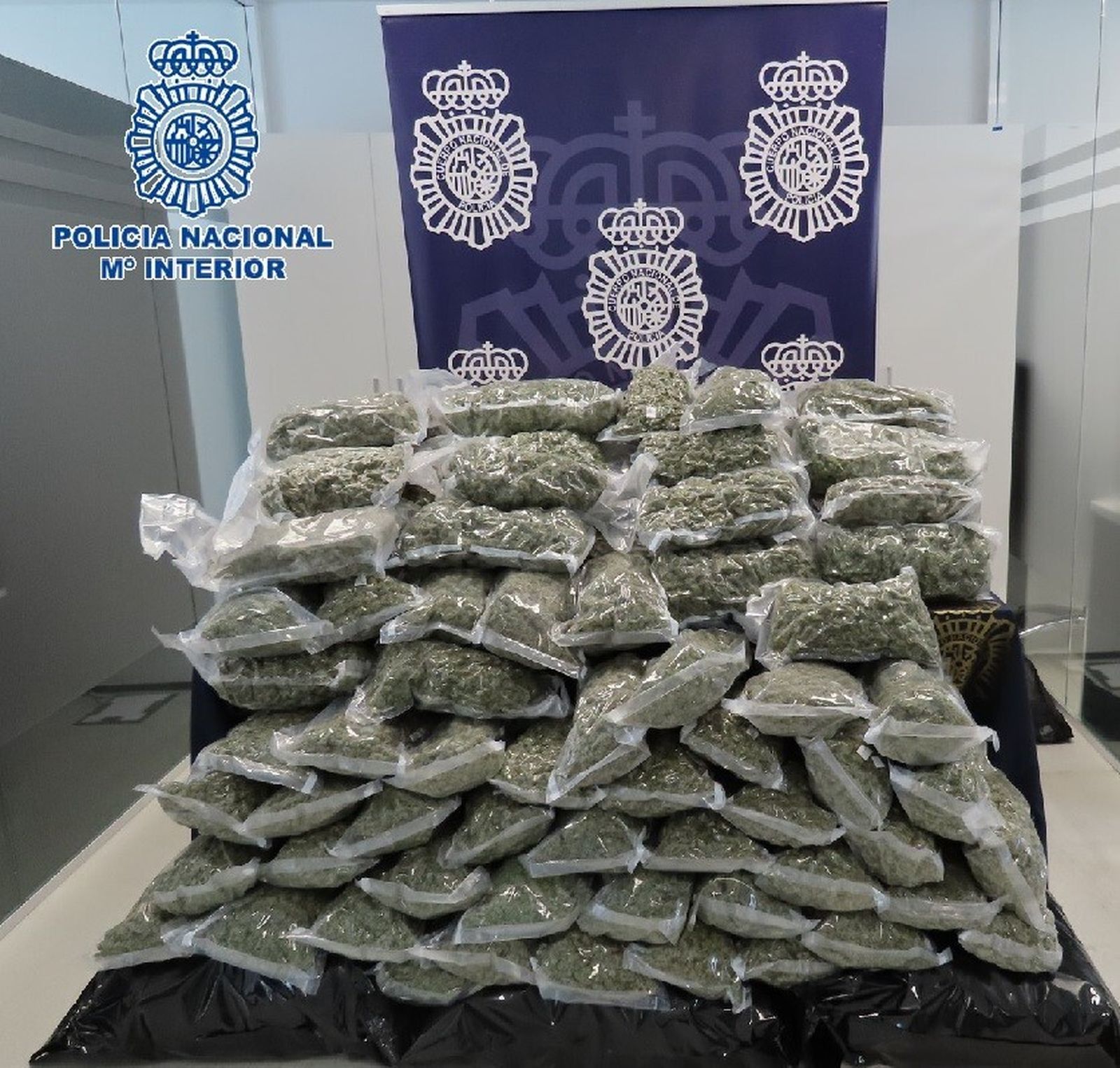 Marihuana intervenida por los agentes